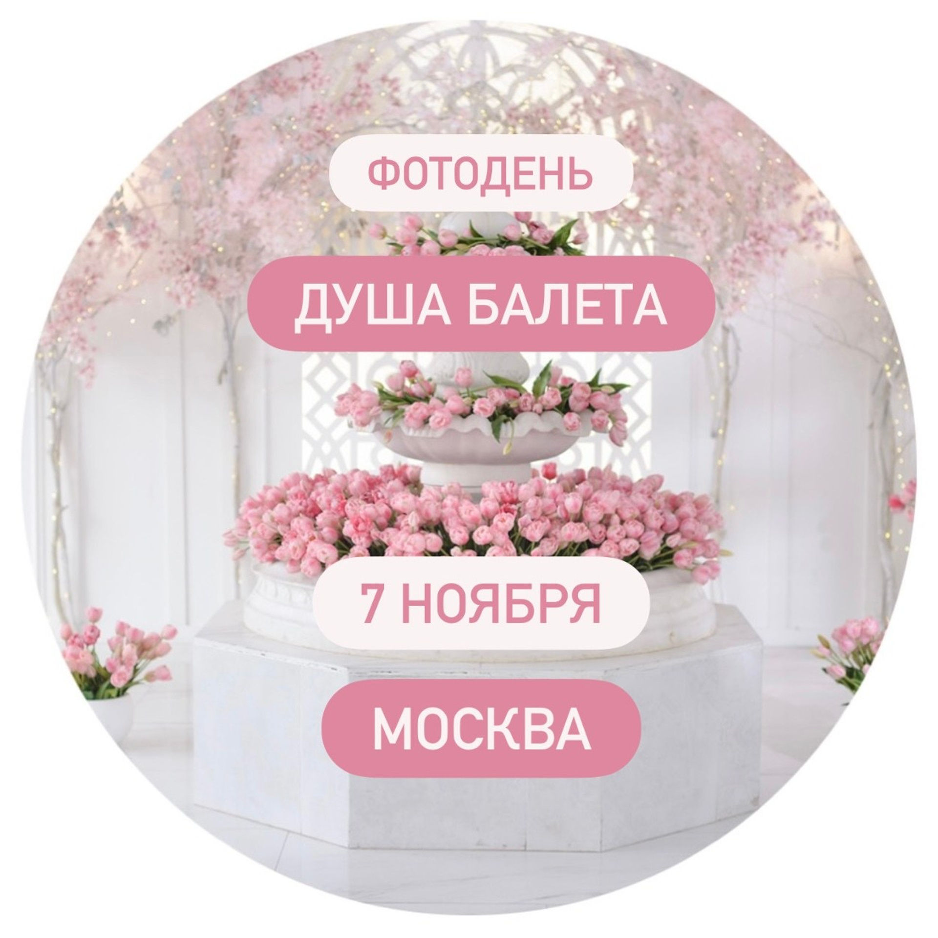 Душа Балета. Алина Ханько. Балетный фотограф Алина Ханько — Душа Балета