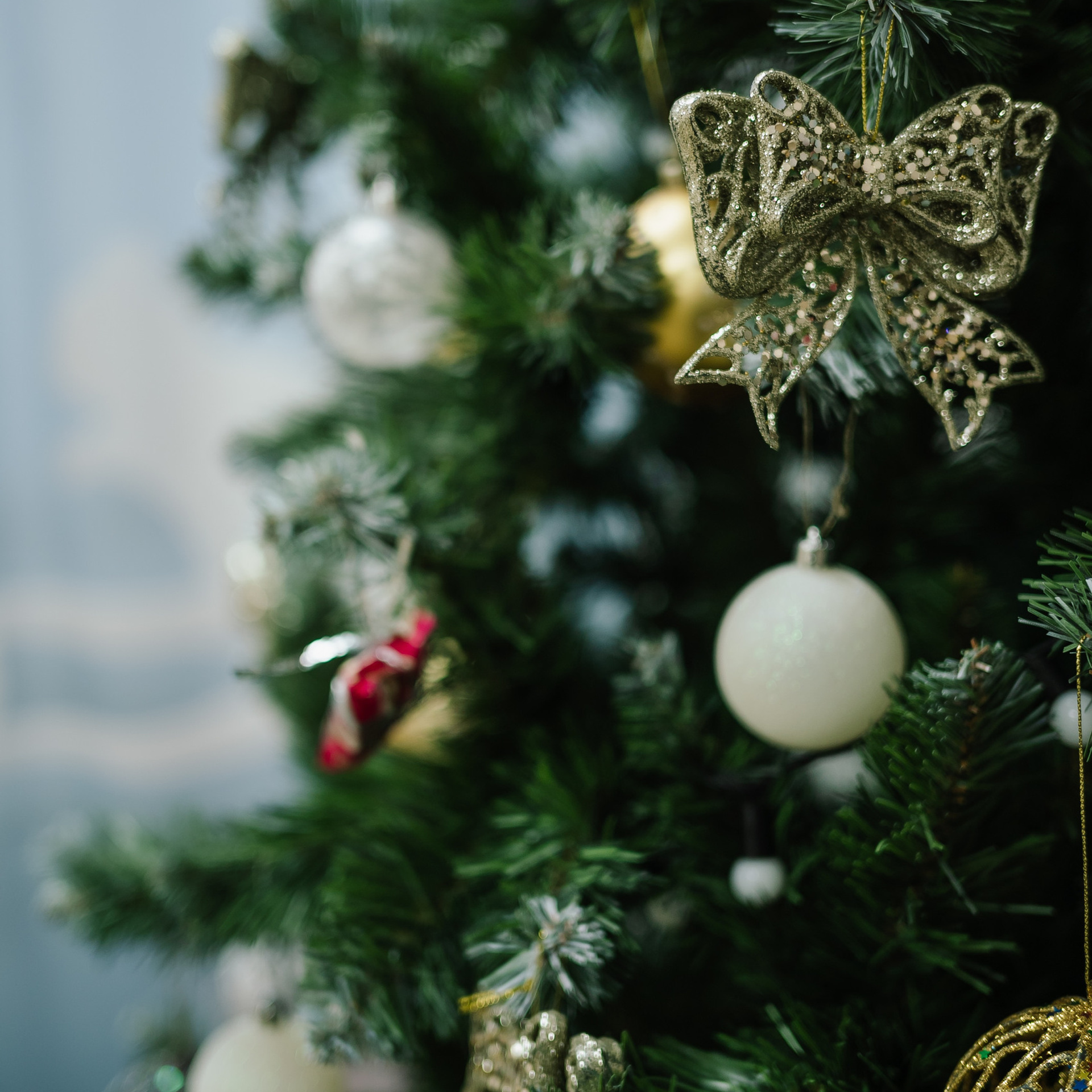 Отзывы. Алексей Поляков. Фотограф Екатеринбург. Фотограф в Екатеринбурге Поляков Алексей