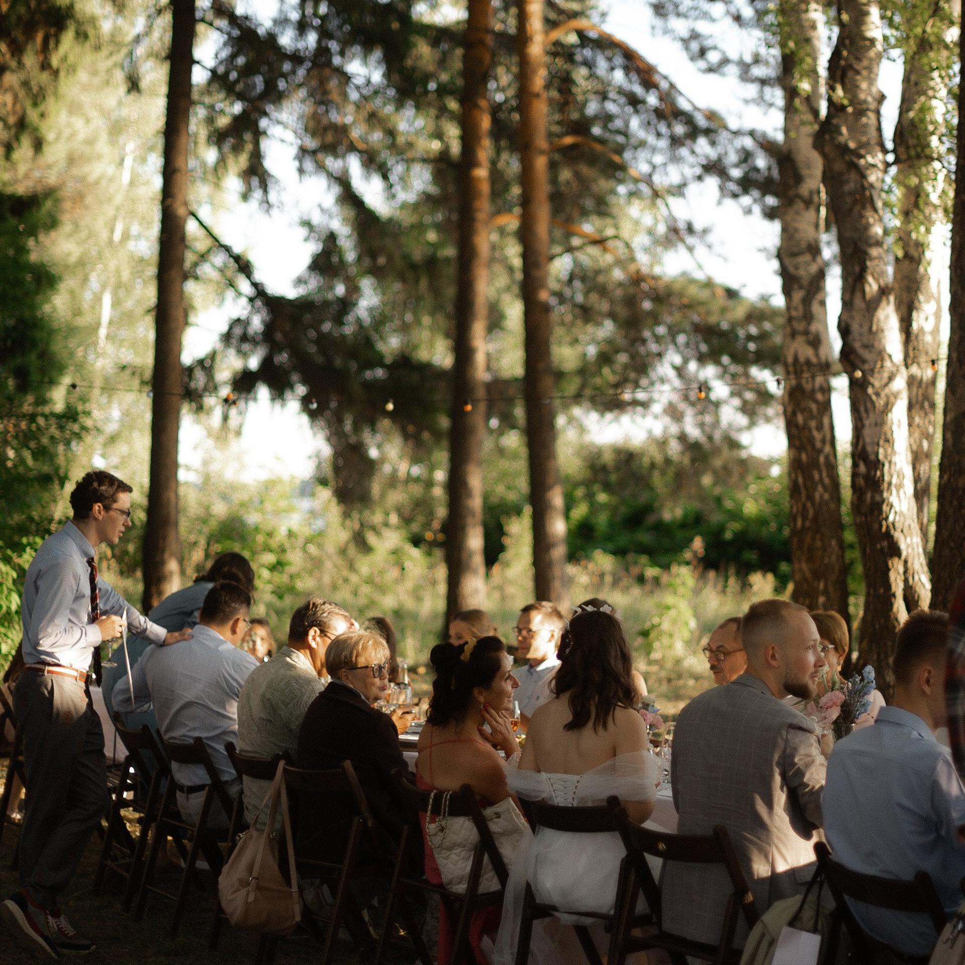 Камерный свадебный ужин в березовой роще