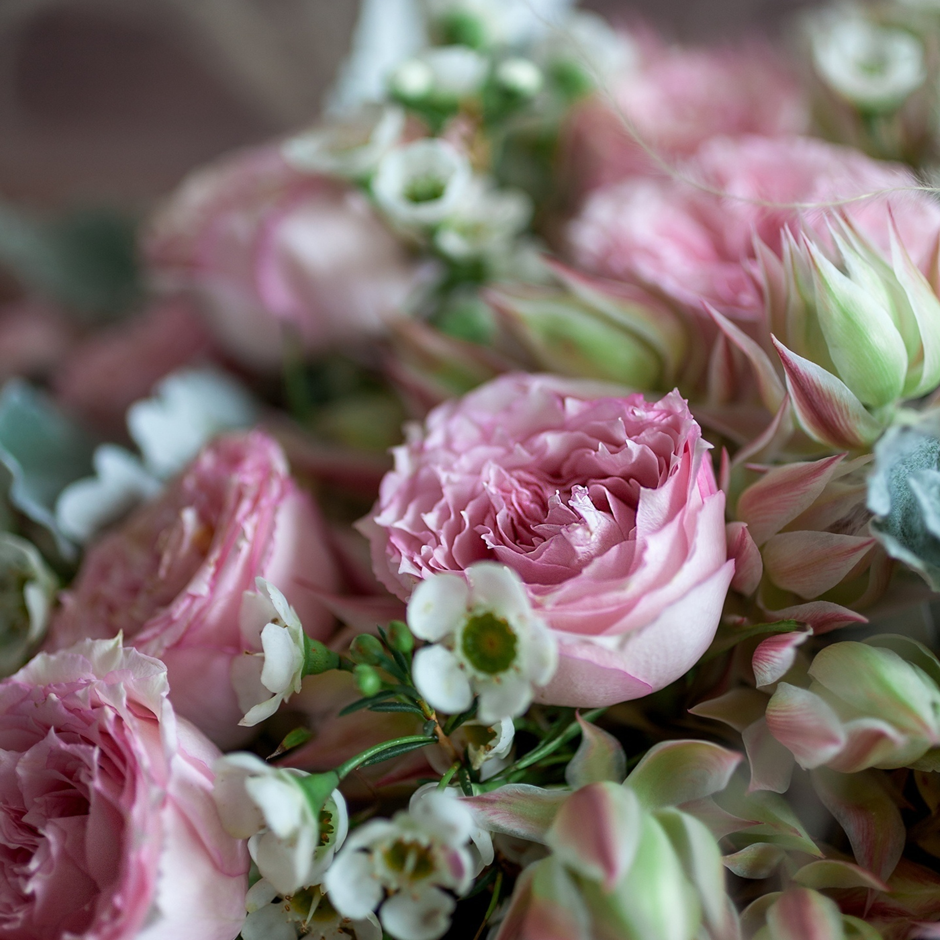 Как выбрать флориста-декоратора?. Флорист Маргарита Гладкова