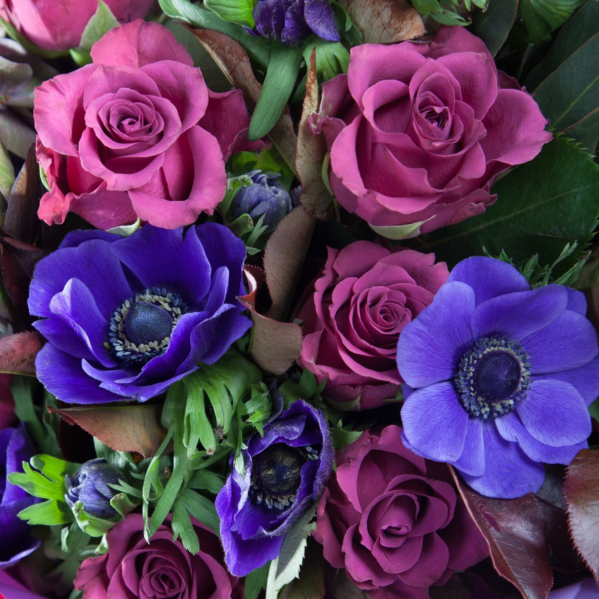 Как выбрать флориста-декоратора?. Флорист Маргарита Гладкова