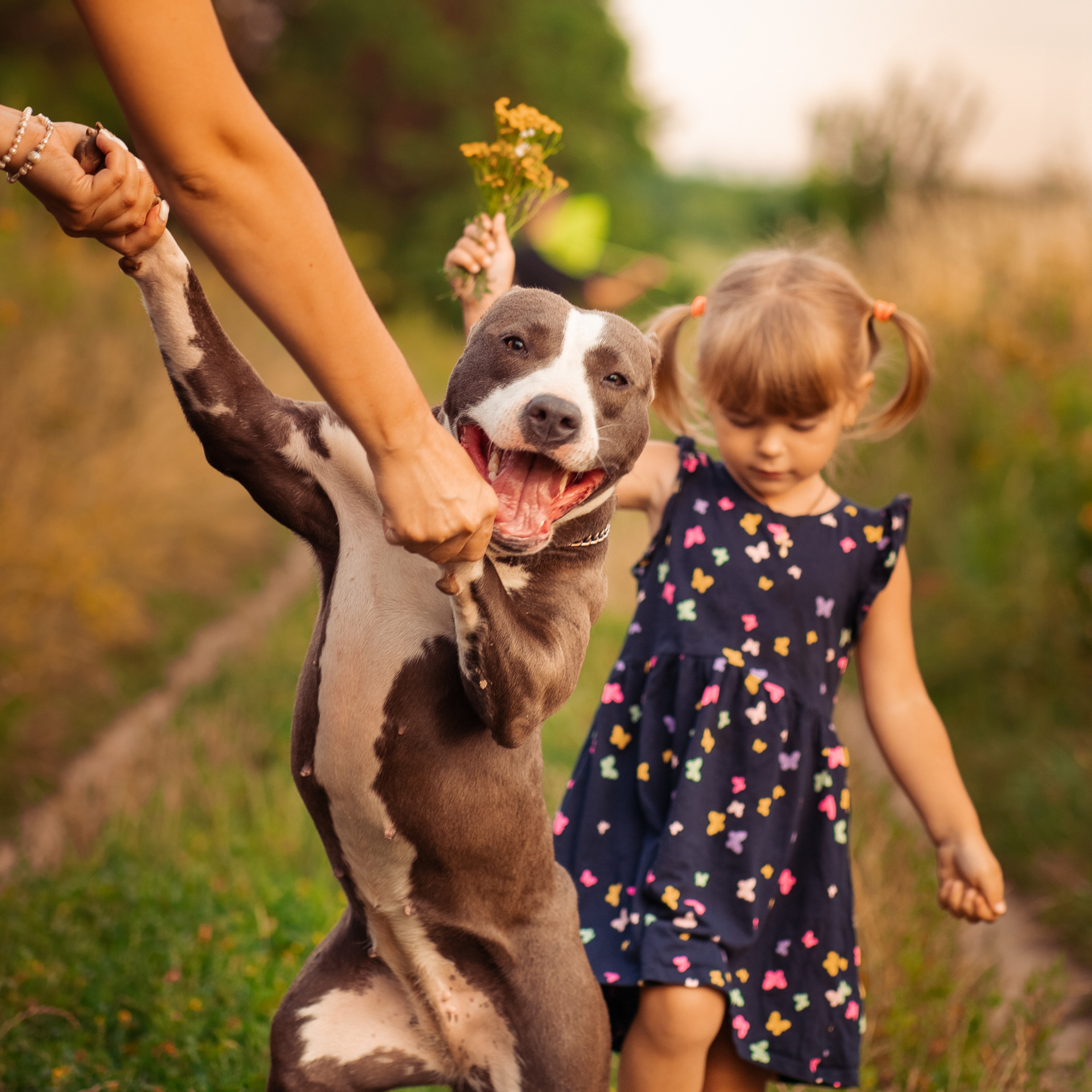 Шакира на прогулке