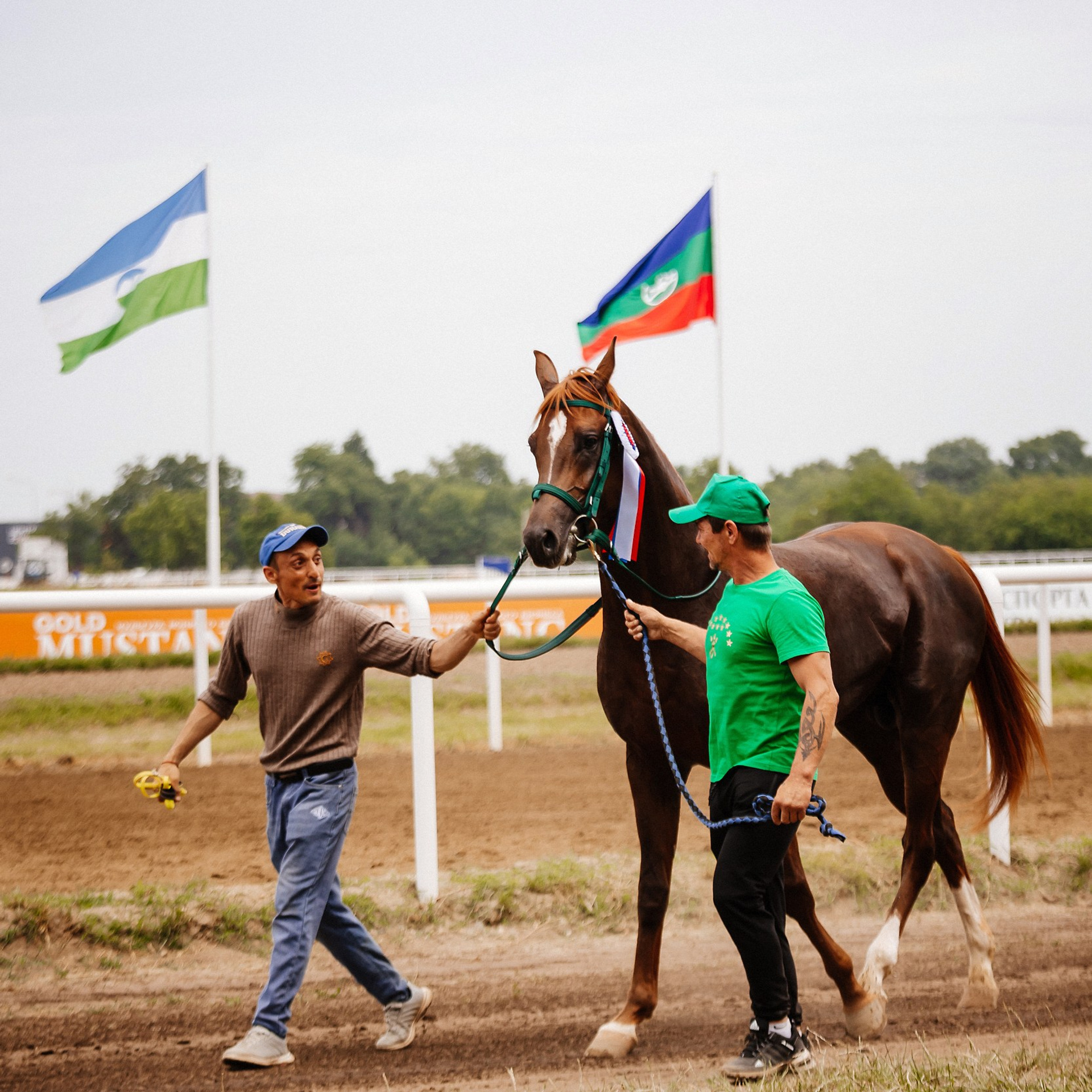 Скачки 10.06.23. Photographer | Anna Christia