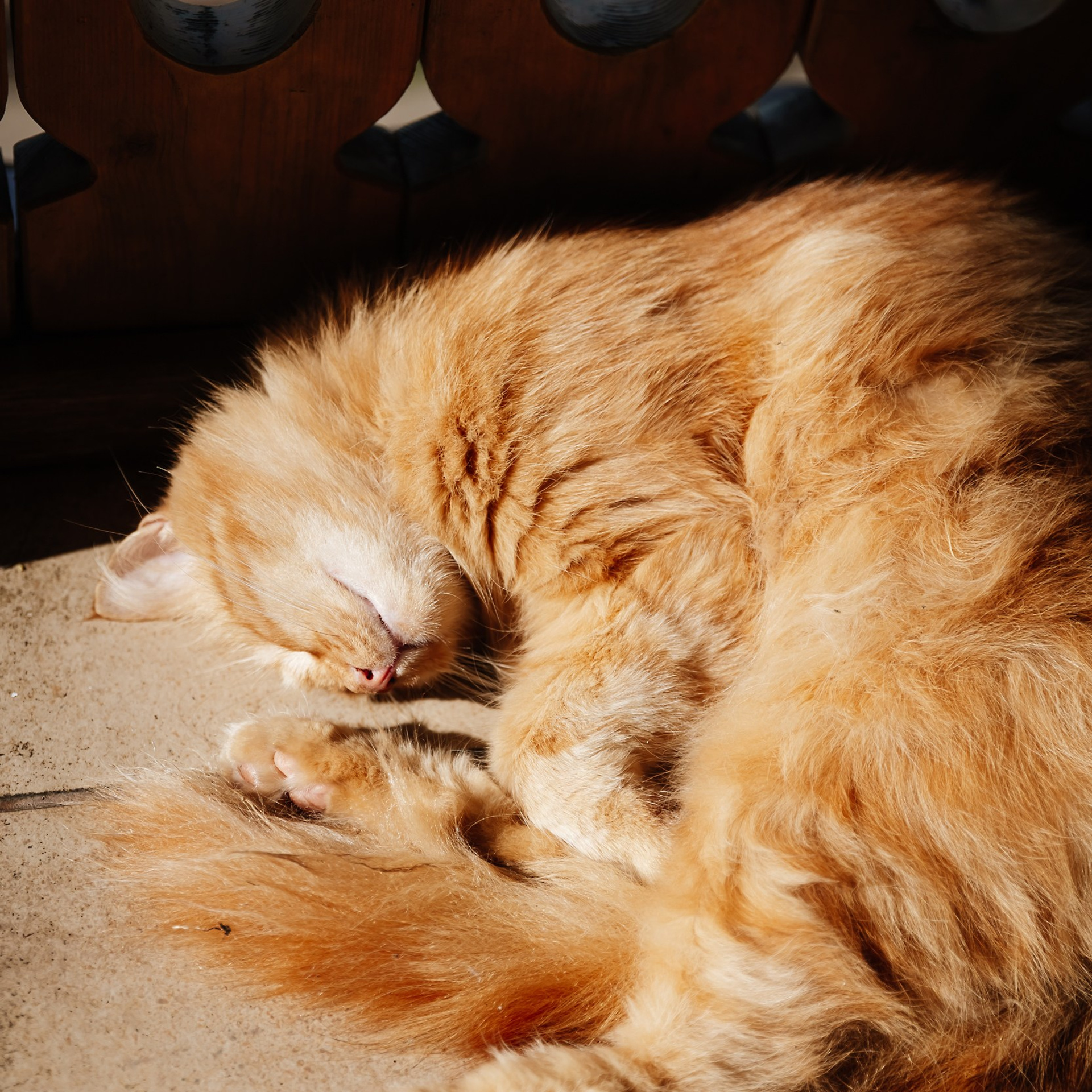 День рождения Зарубина 9.07.23. Photographer | Anna Christia