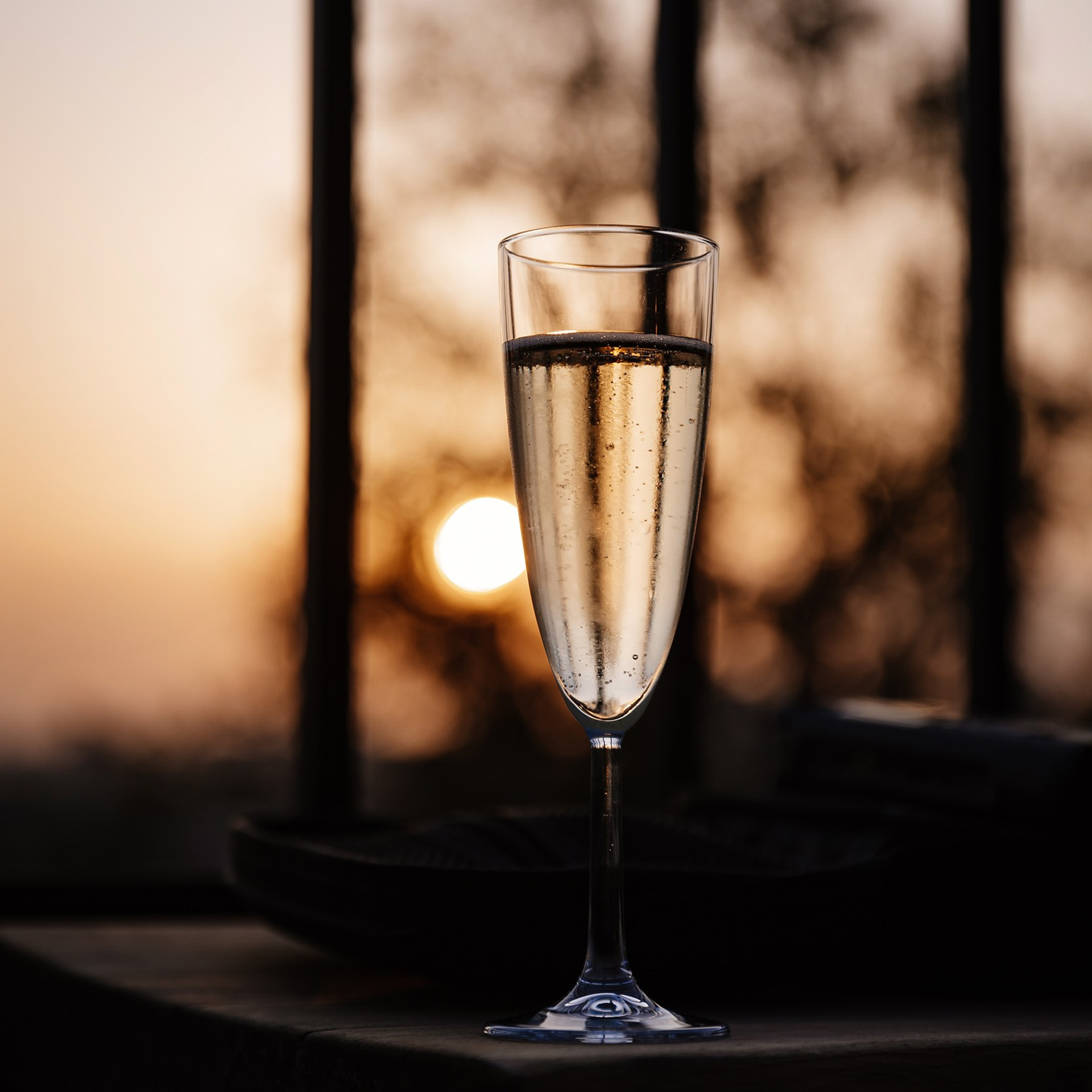 Музыкальный вечер 25.05.23. Photographer | Anna Christia