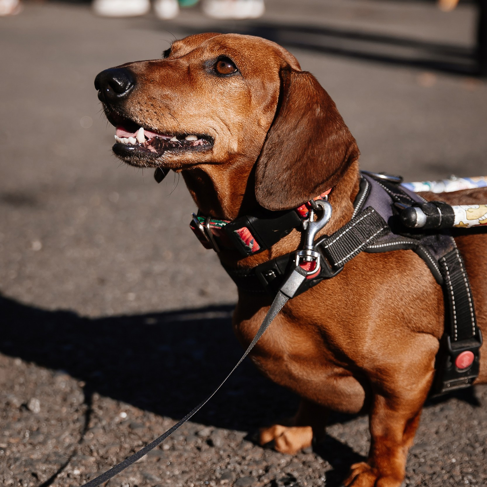 Boxpark 4.11.23. Photographer | Anna Christia