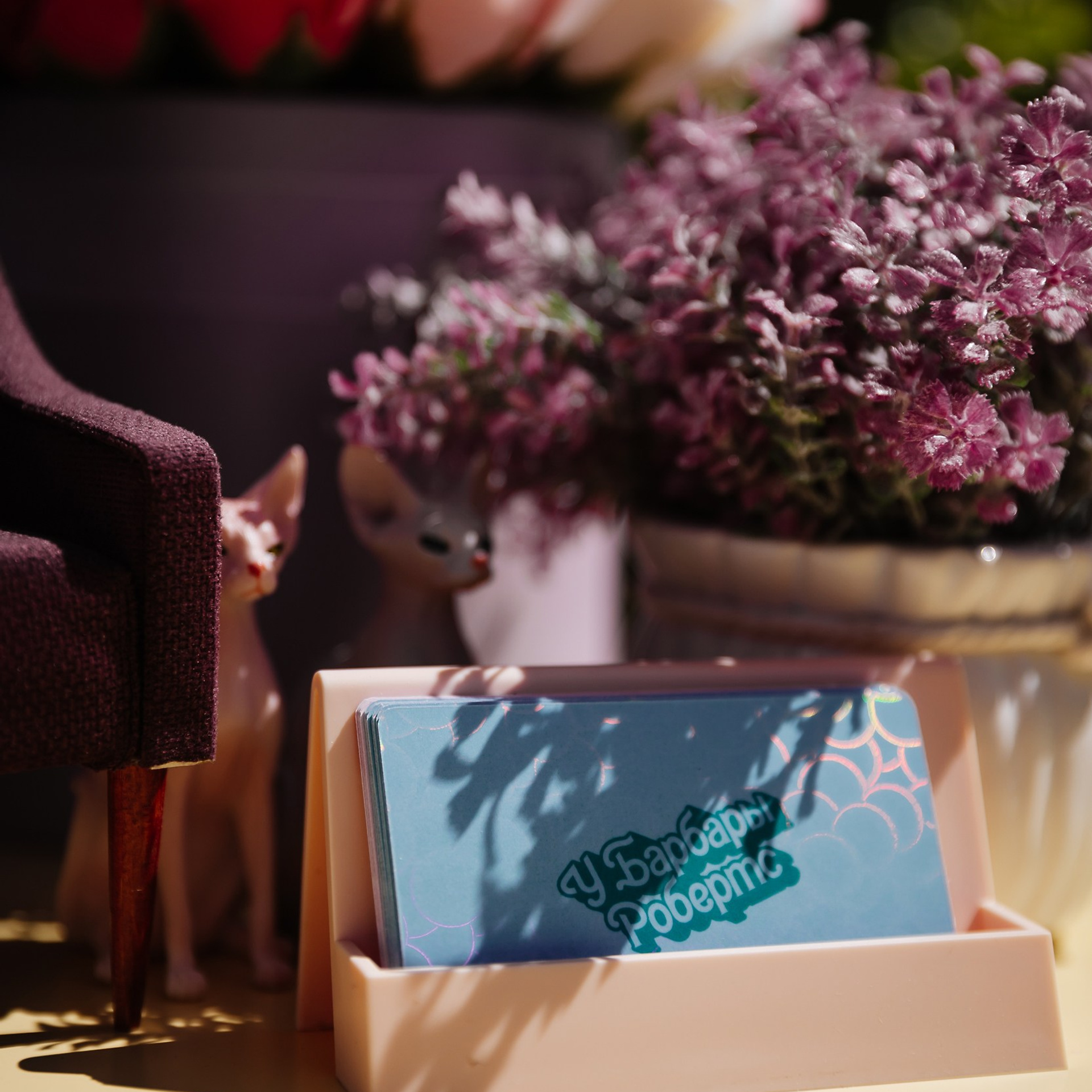 Балерина и бифштекс 29.07.23. Photographer | Anna Christia