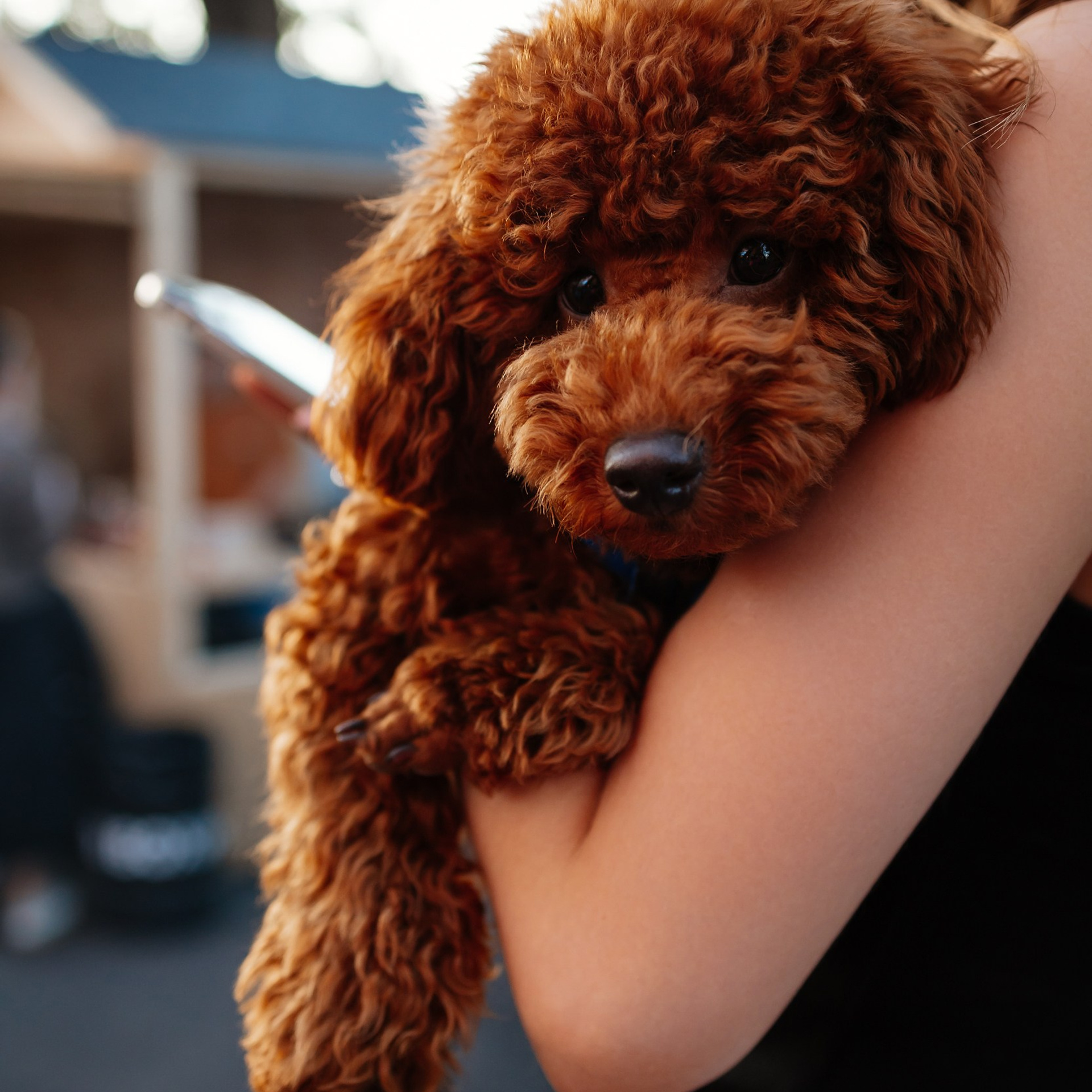 Маркет в Boxpark 29.07.23. Photographer | Anna Christia