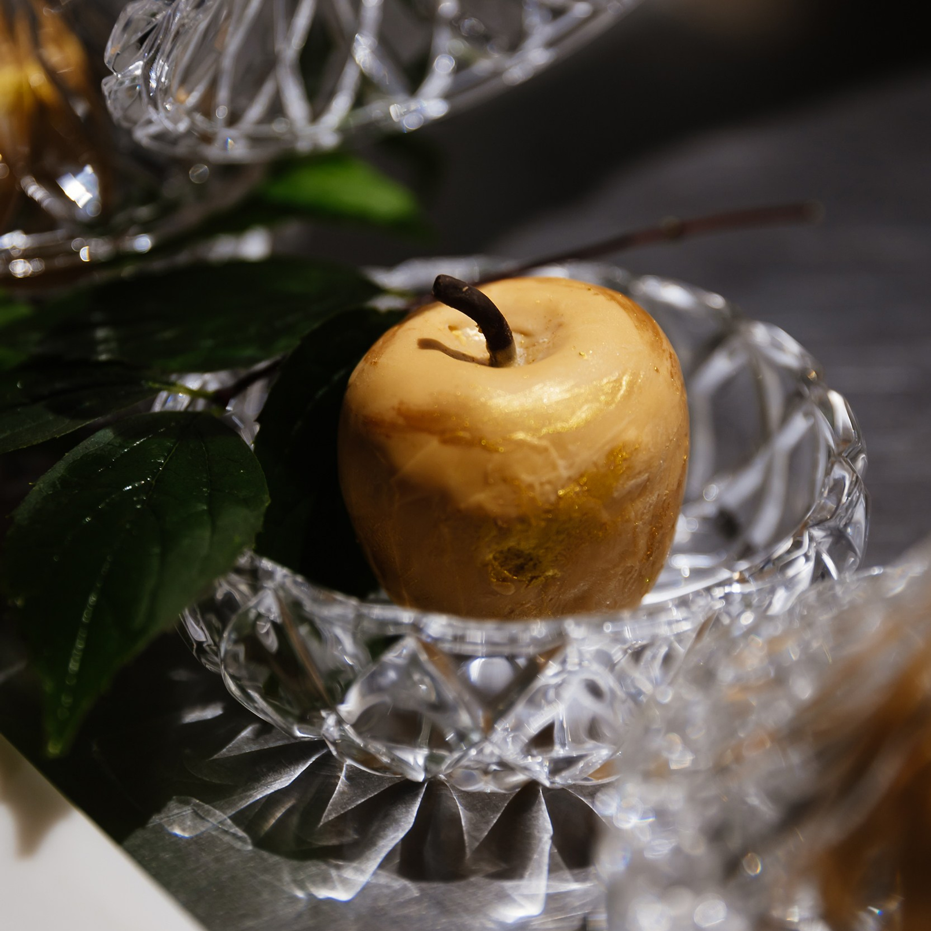 Гастроужин в Катюша 22.09.23. Photographer | Anna Christia