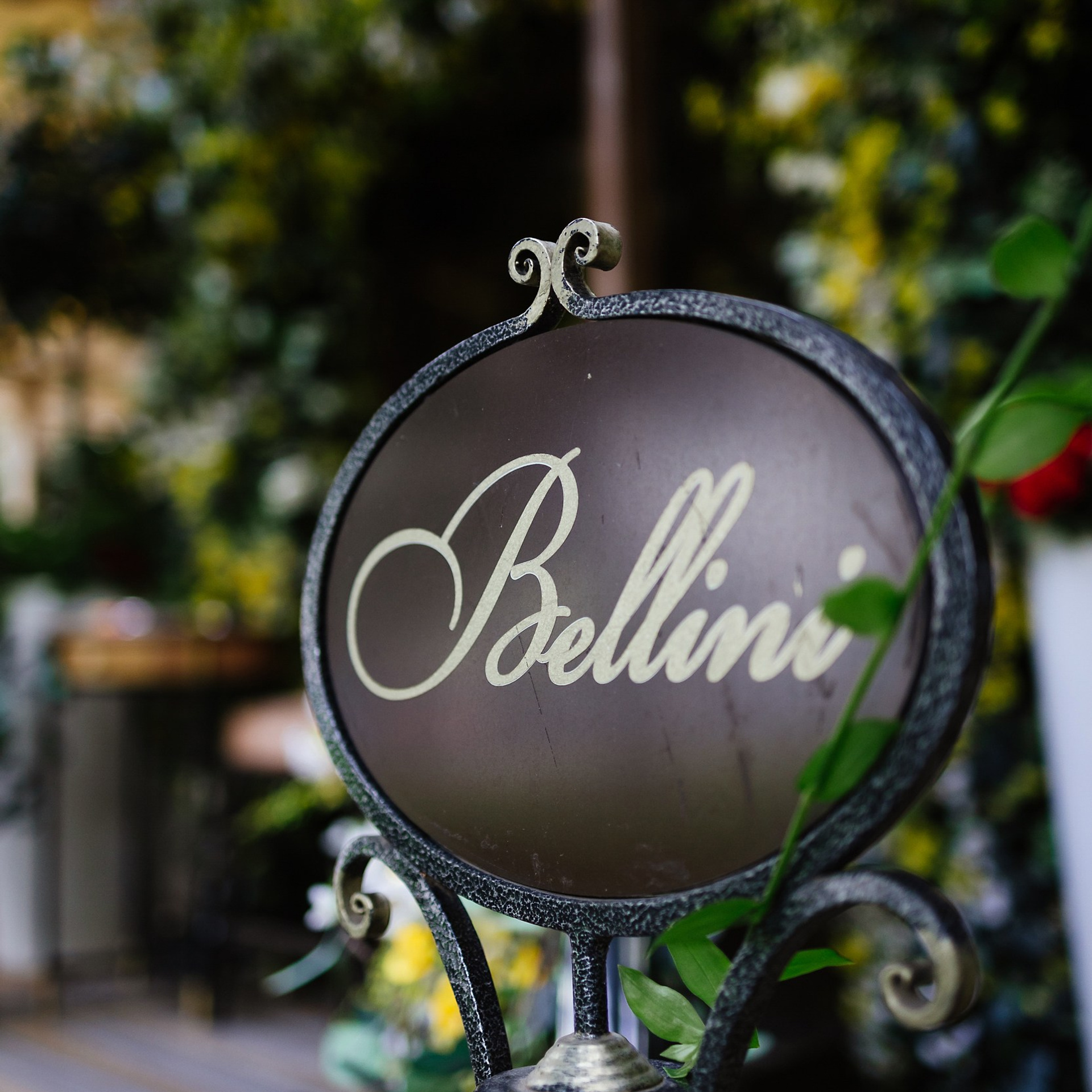 Беллини 1.07.23. Photographer | Anna Christia