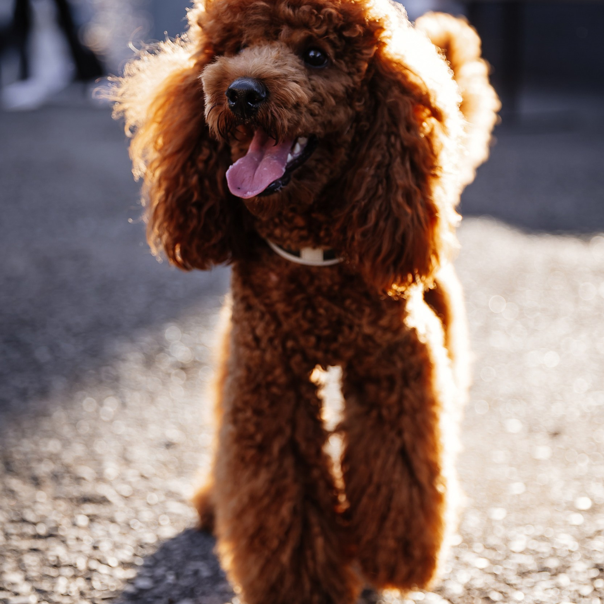 Boxpark 4.11.23. Photographer | Anna Christia