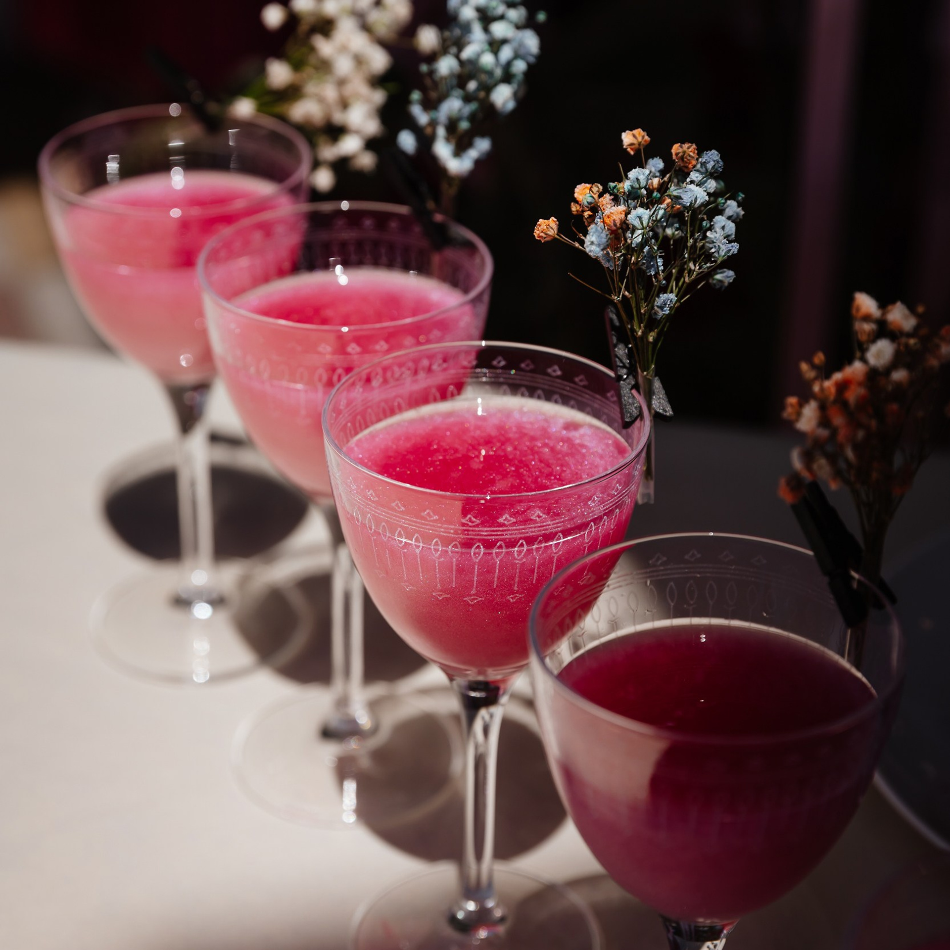 Балерина и бифштекс 29.07.23. Photographer | Anna Christia