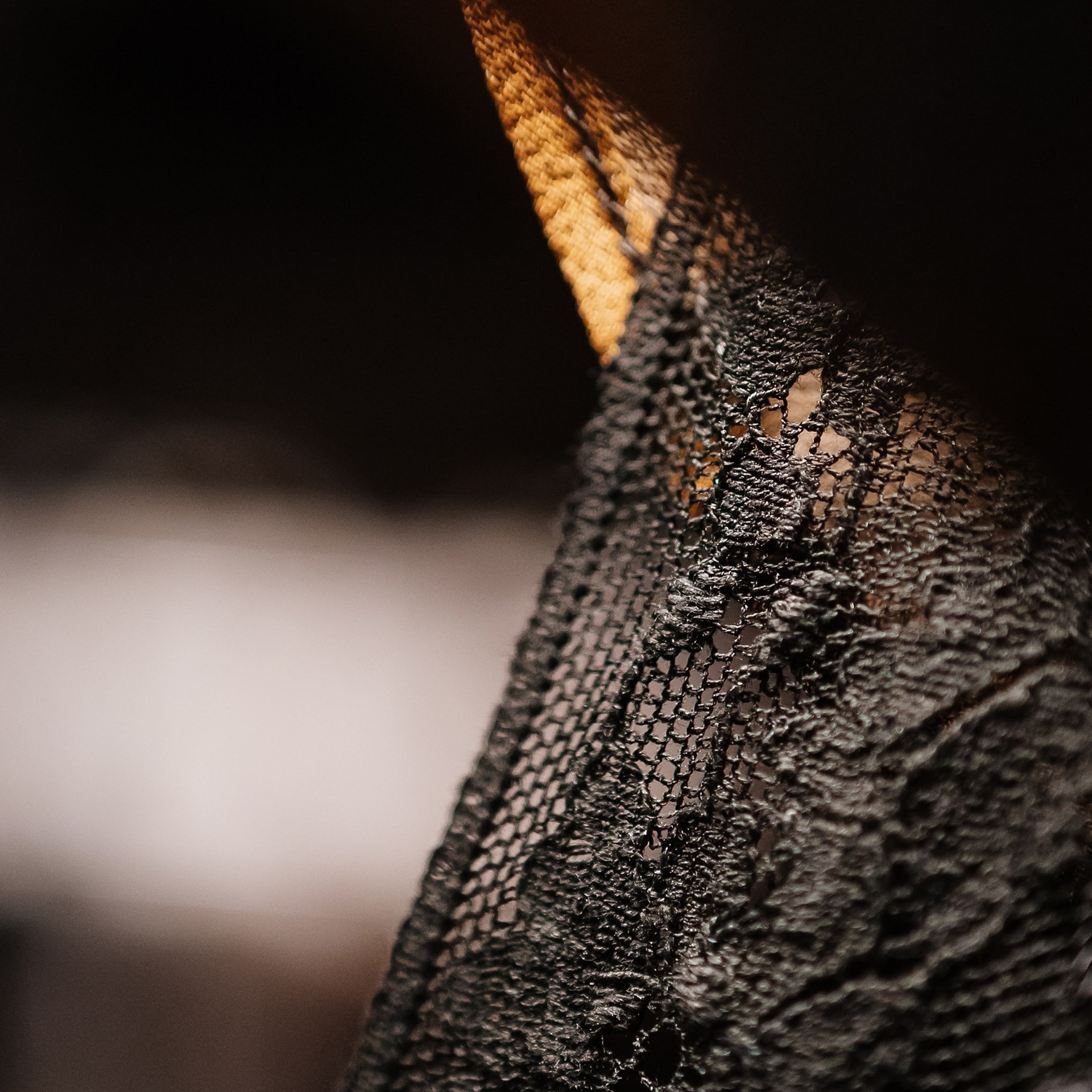 Not obligated 22.12.23. Photographer | Anna Christia