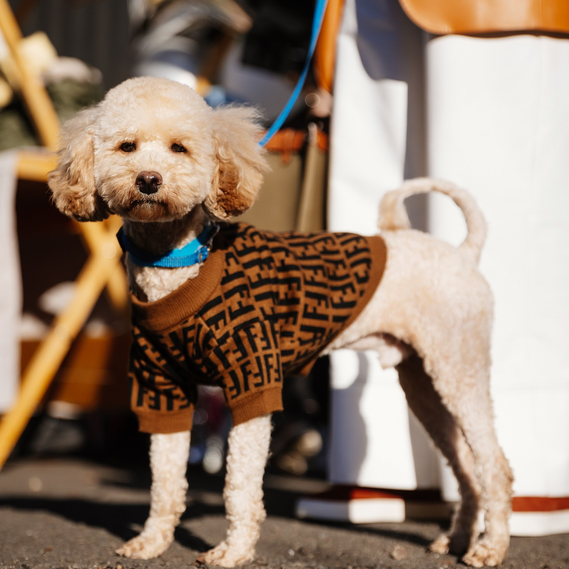 Boxpark 4.11.23. Photographer | Anna Christia