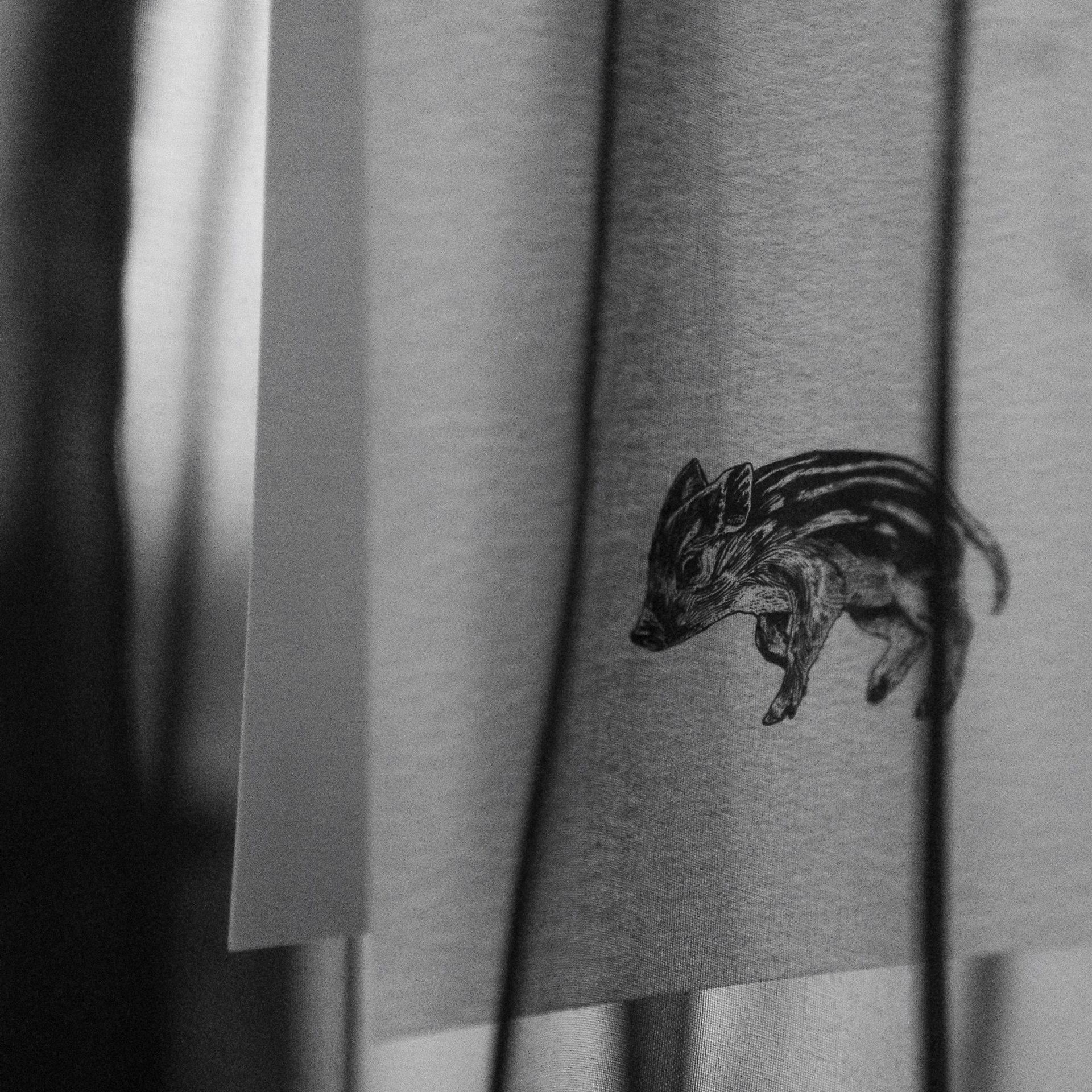 Not obligated 22.12.23. Photographer | Anna Christia