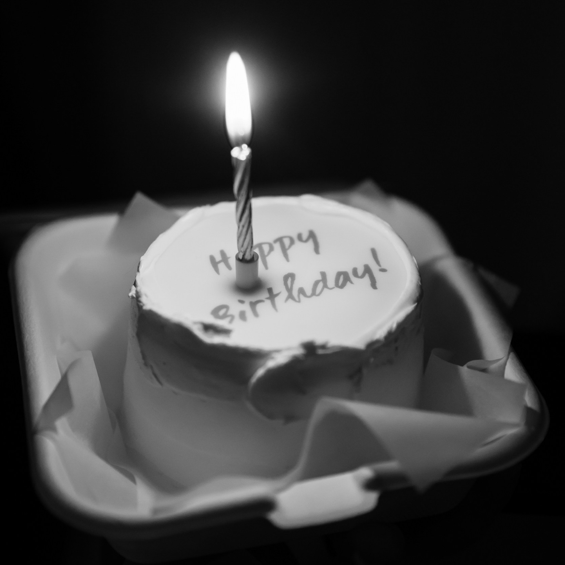 Сезоны 15.11.23. Photographer | Anna Christia