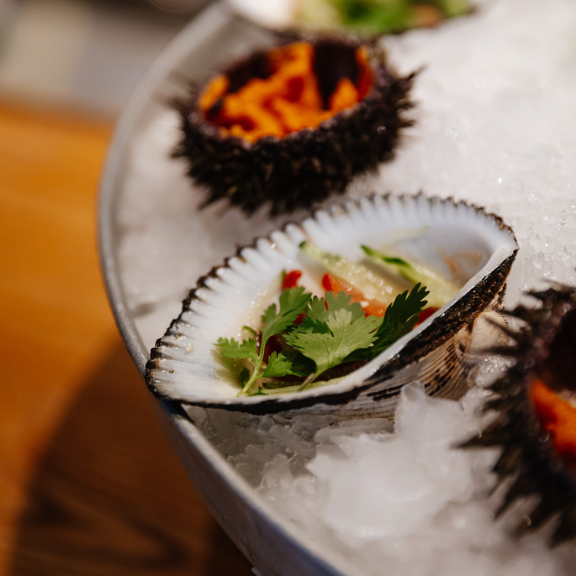 The Great Kraken 27.05.23. Photographer | Anna Christia