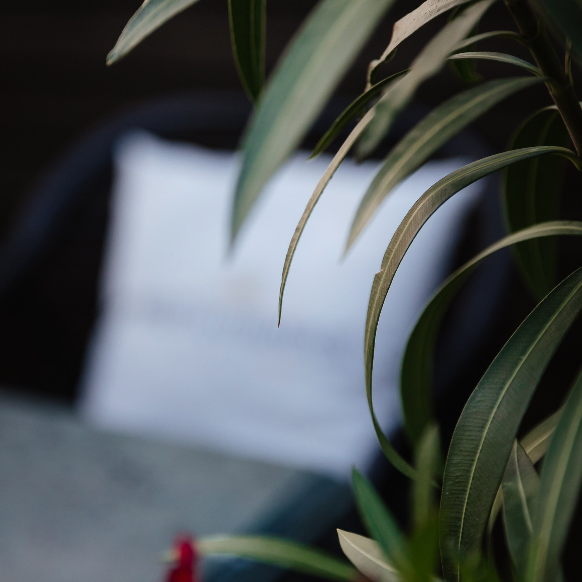 The Great Kraken 27.05.23. Photographer | Anna Christia