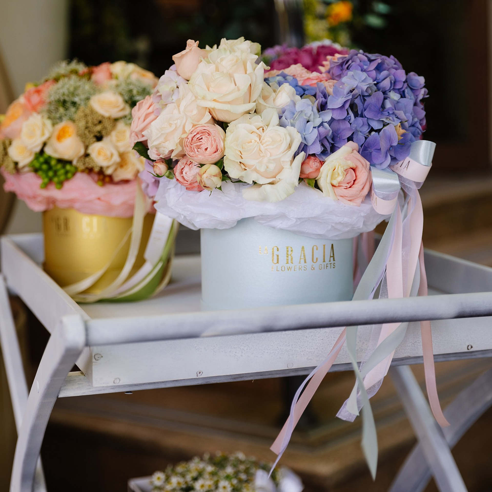 Беллини 1.07.23. Photographer | Anna Christia