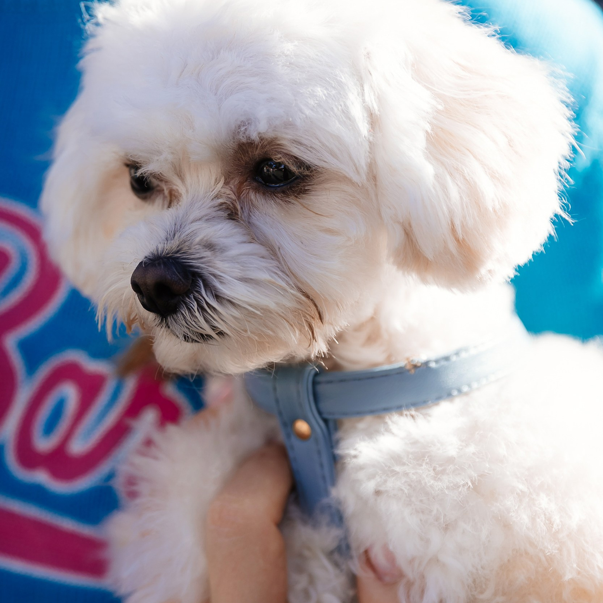 Boxpark 4.11.23. Photographer | Anna Christia