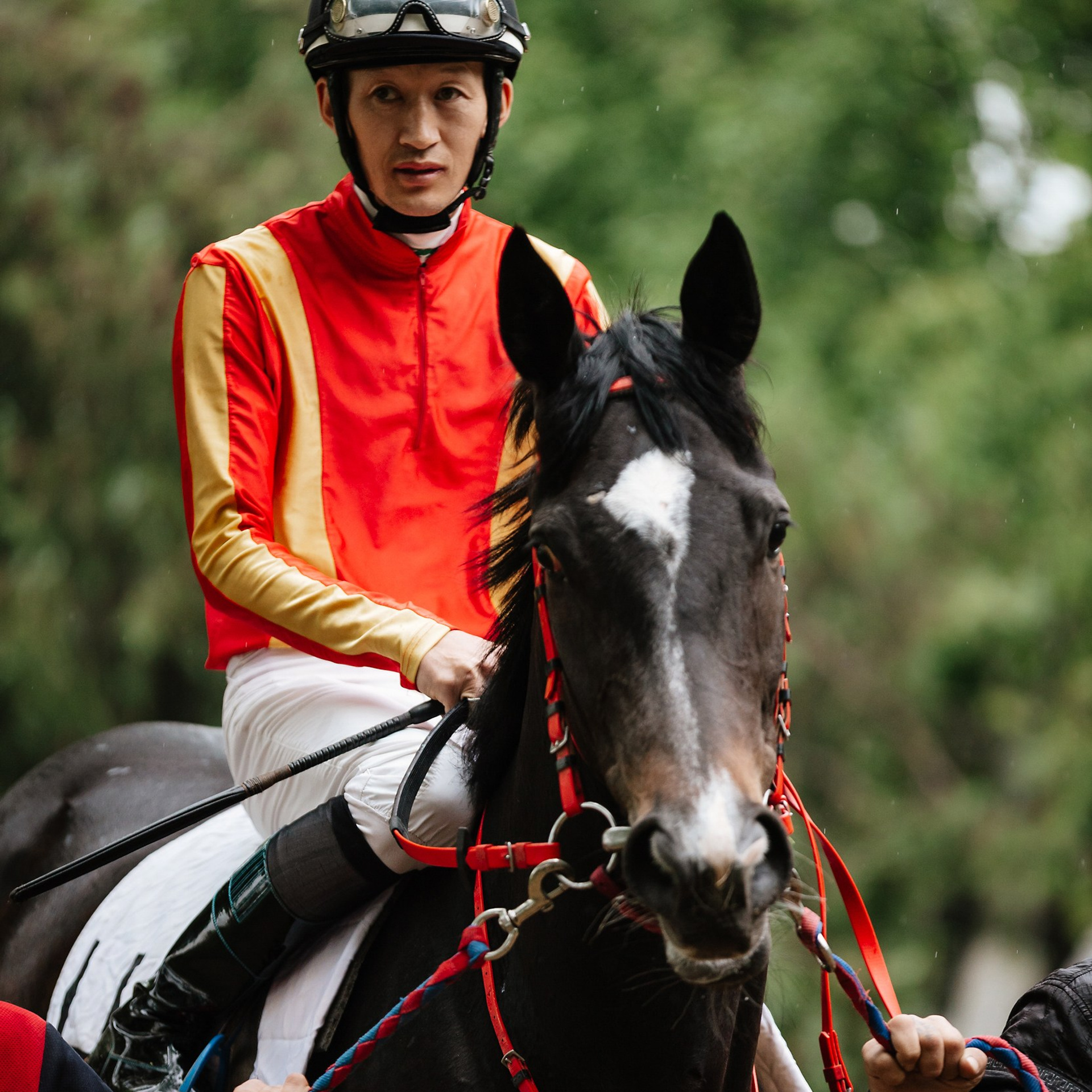 Скачки 11.05.24. Photographer | Anna Christia