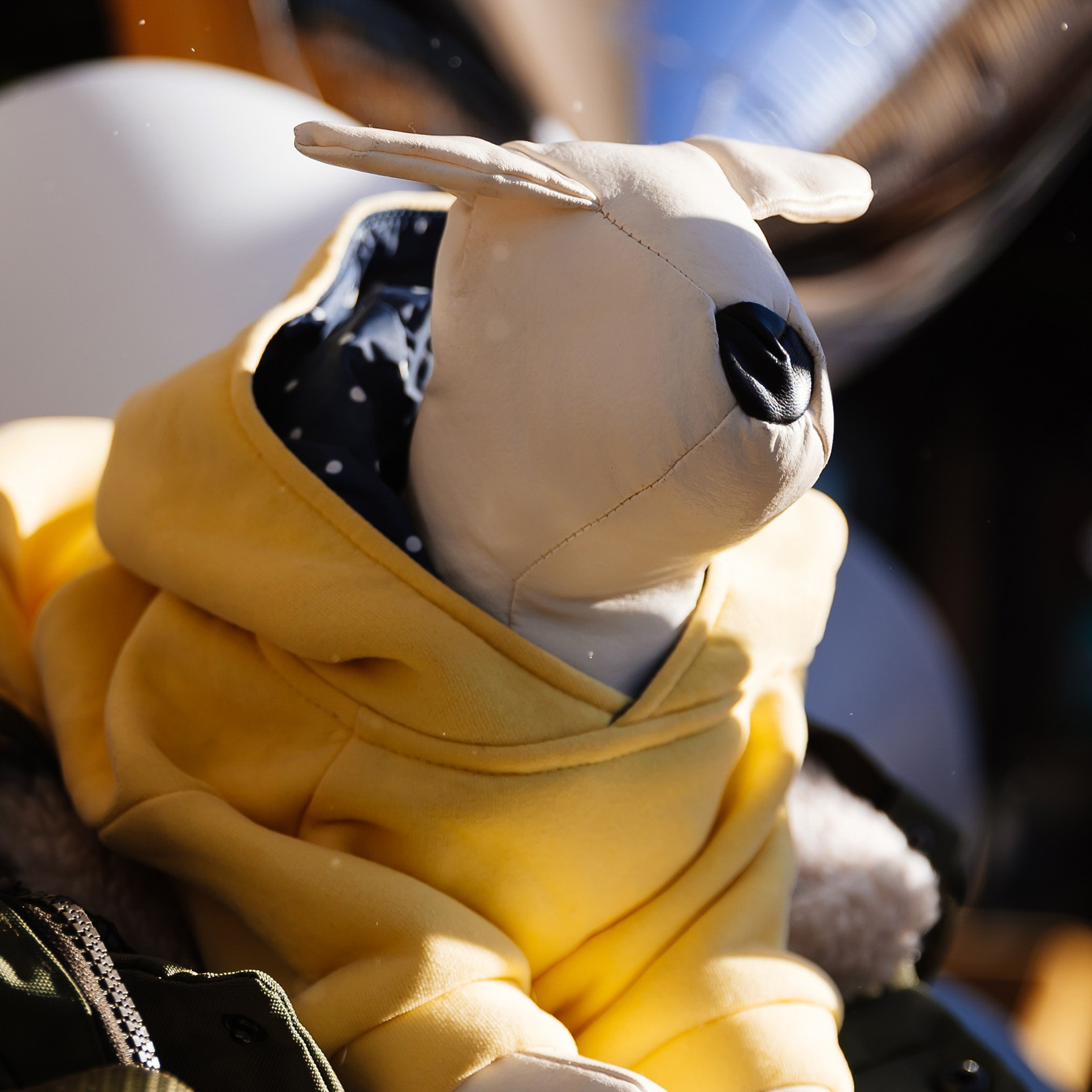 Boxpark 4.11.23. Photographer | Anna Christia