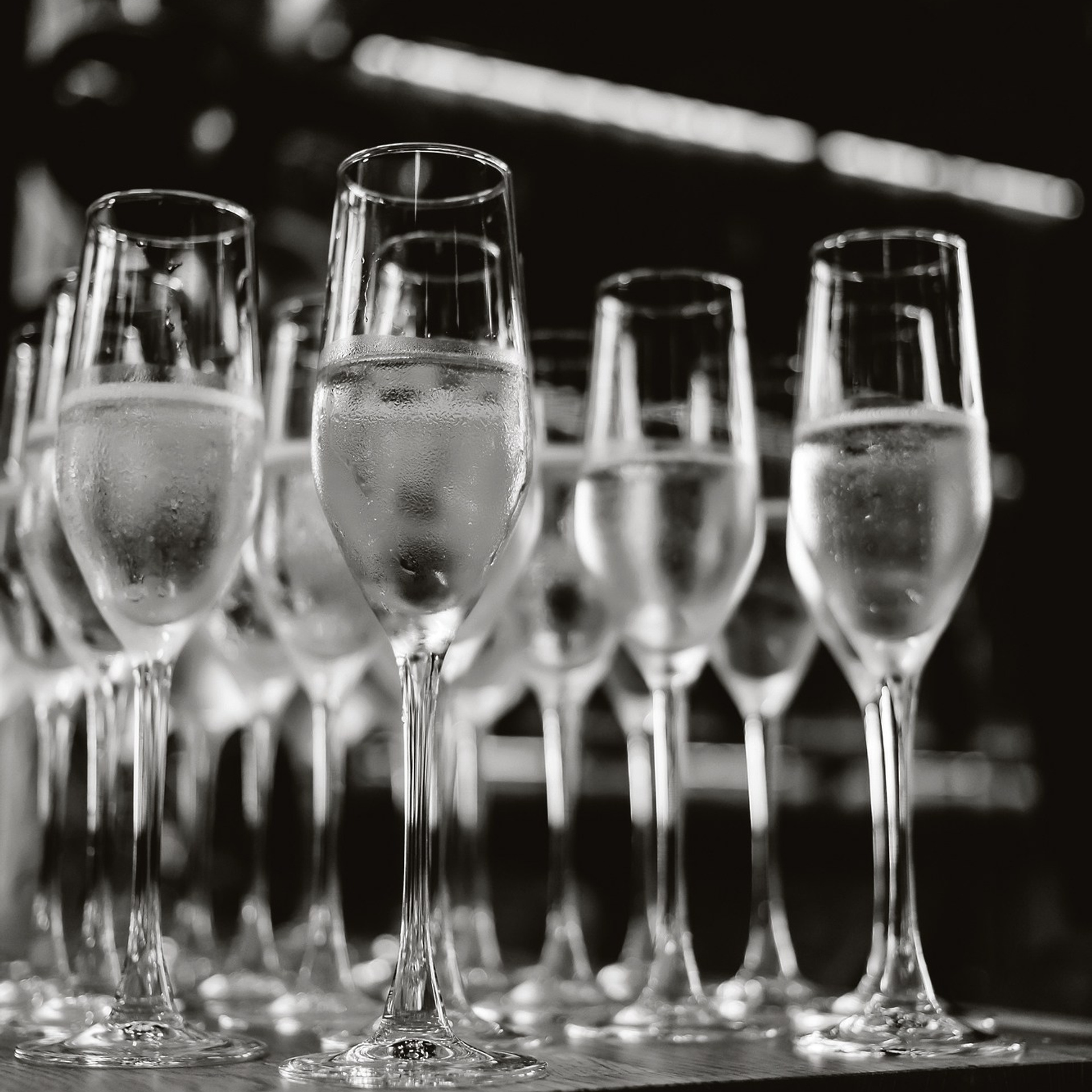 Бифштекс 26.08.22. Photographer | Anna Christia