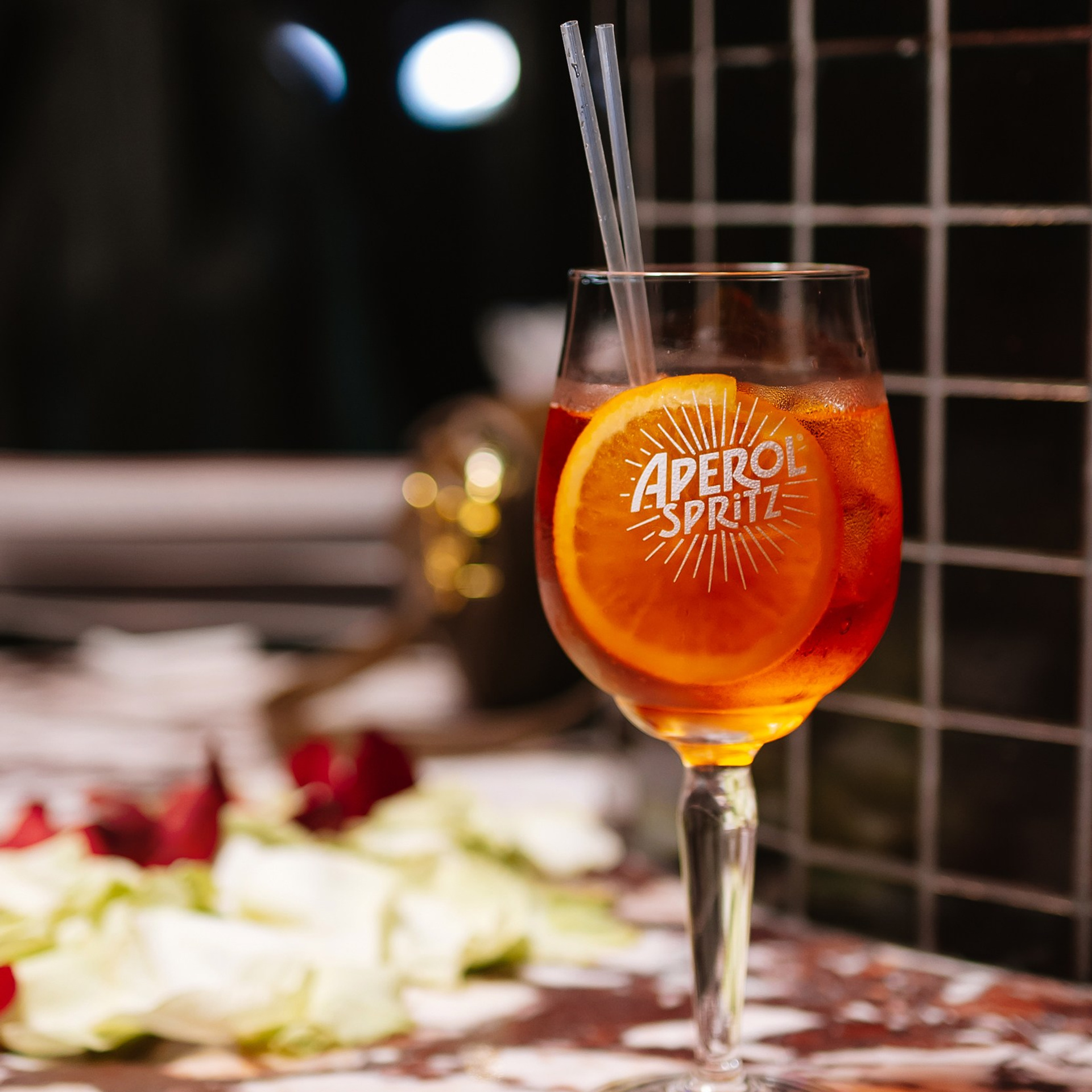 Hank rest 8.03.24. Photographer | Anna Christia