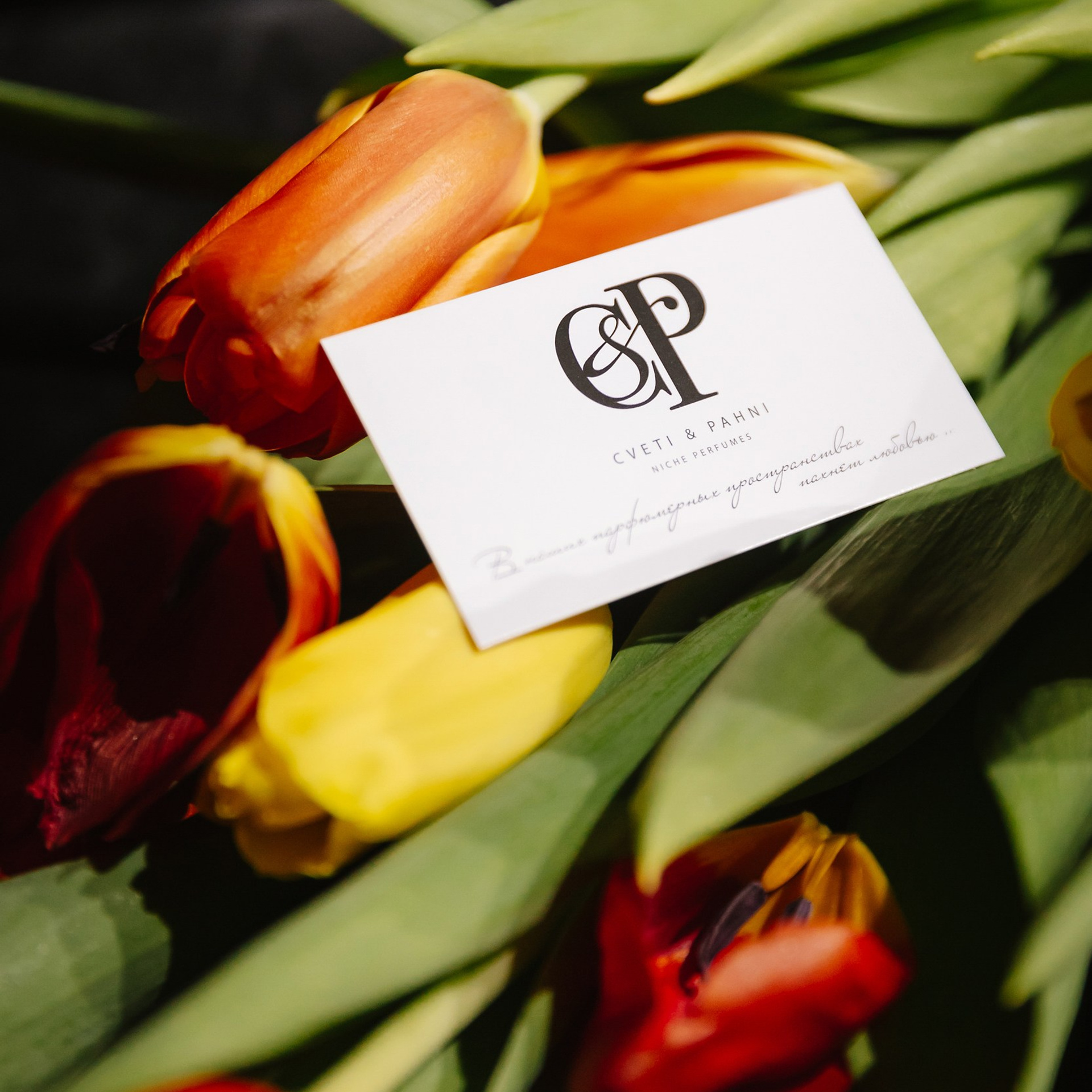 Brand performance 20.03.24. Photographer | Anna Christia