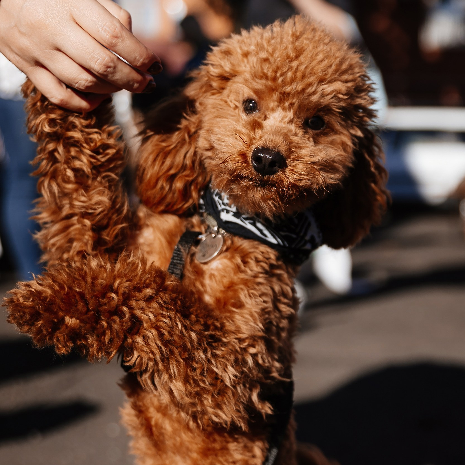 Boxpark 4.11.23. Photographer | Anna Christia