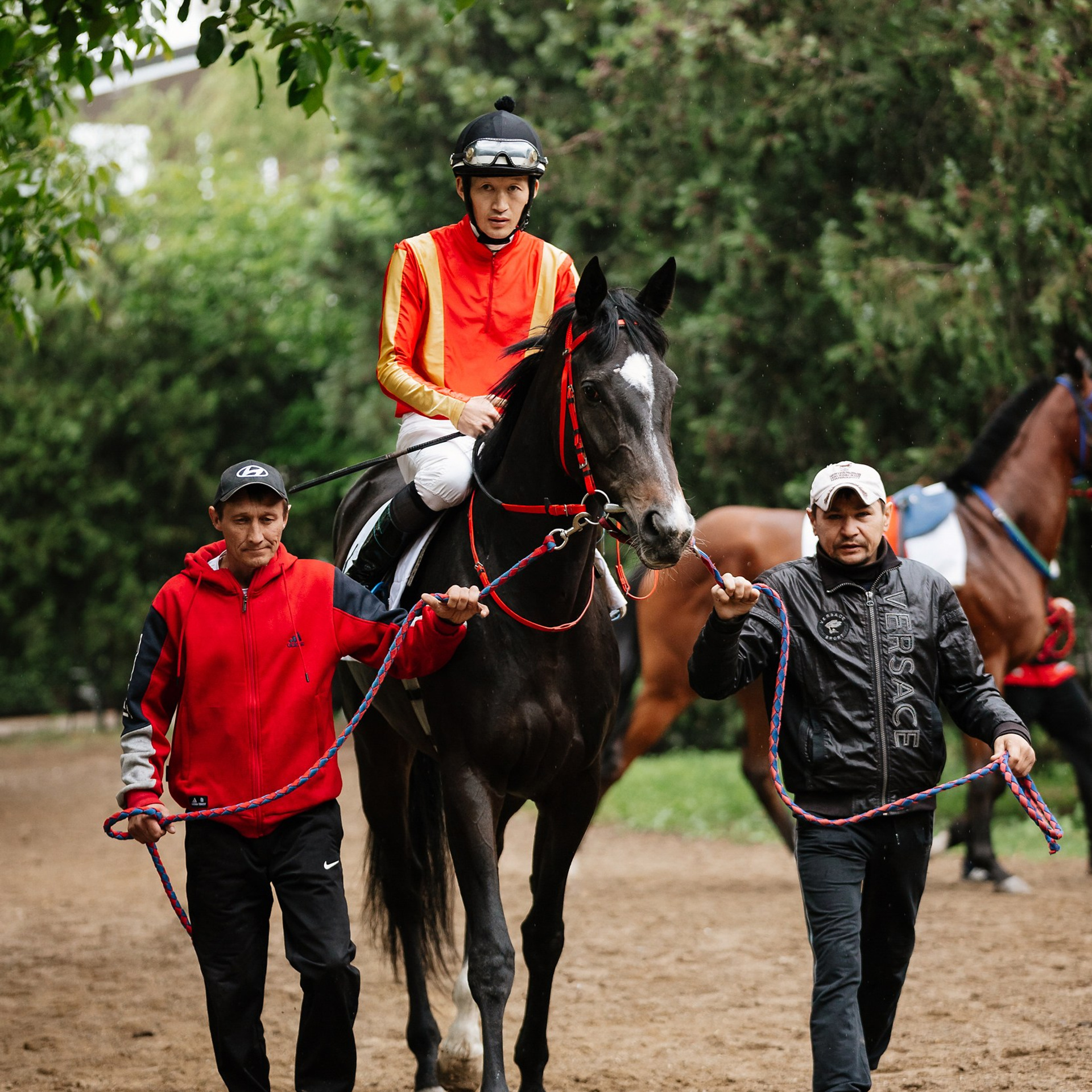 Скачки 11.05.24. Photographer | Anna Christia
