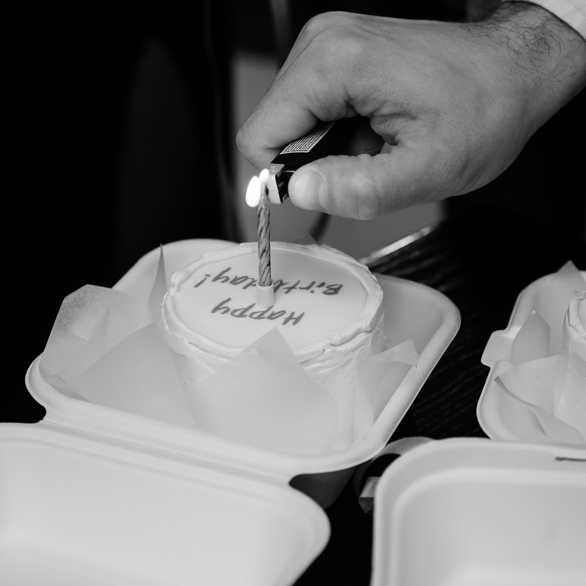 Сезоны 15.11.23. Photographer | Anna Christia