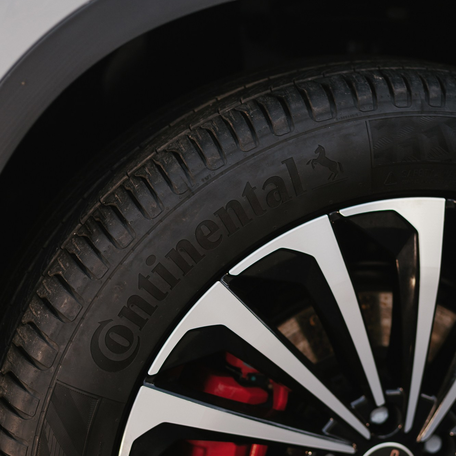 Exeed 23.11.22. Photographer | Anna Christia