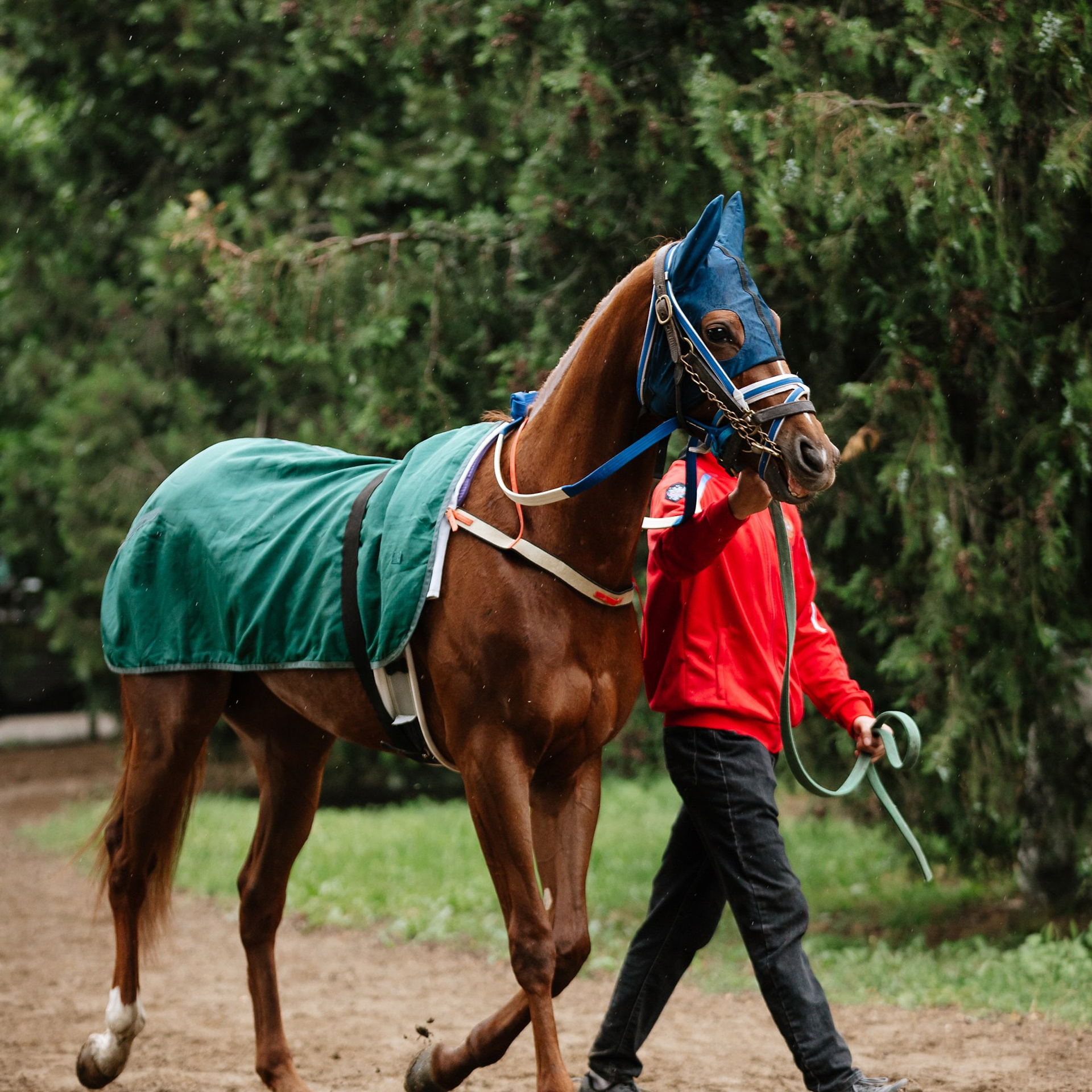 Скачки 11.05.24. Photographer | Anna Christia
