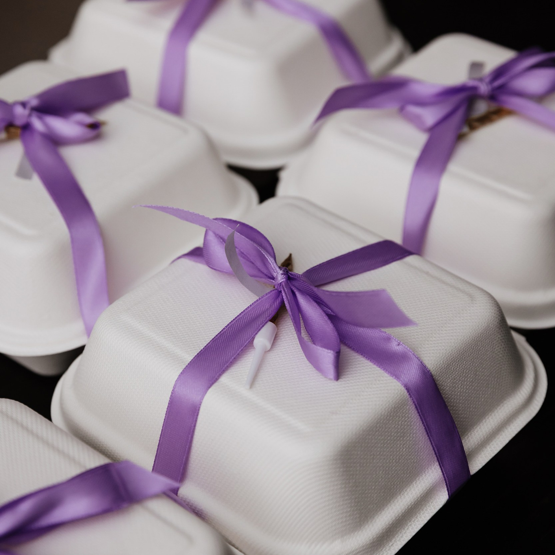 Сезоны 15.11.23. Photographer | Anna Christia