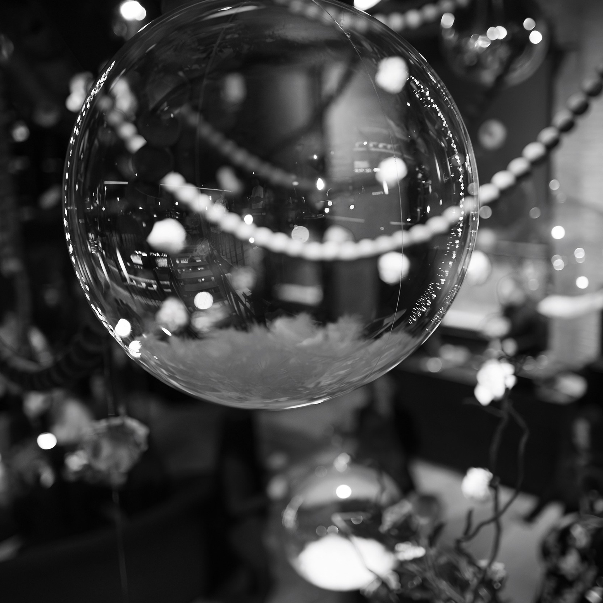 Hank rest 8.03.24. Photographer | Anna Christia