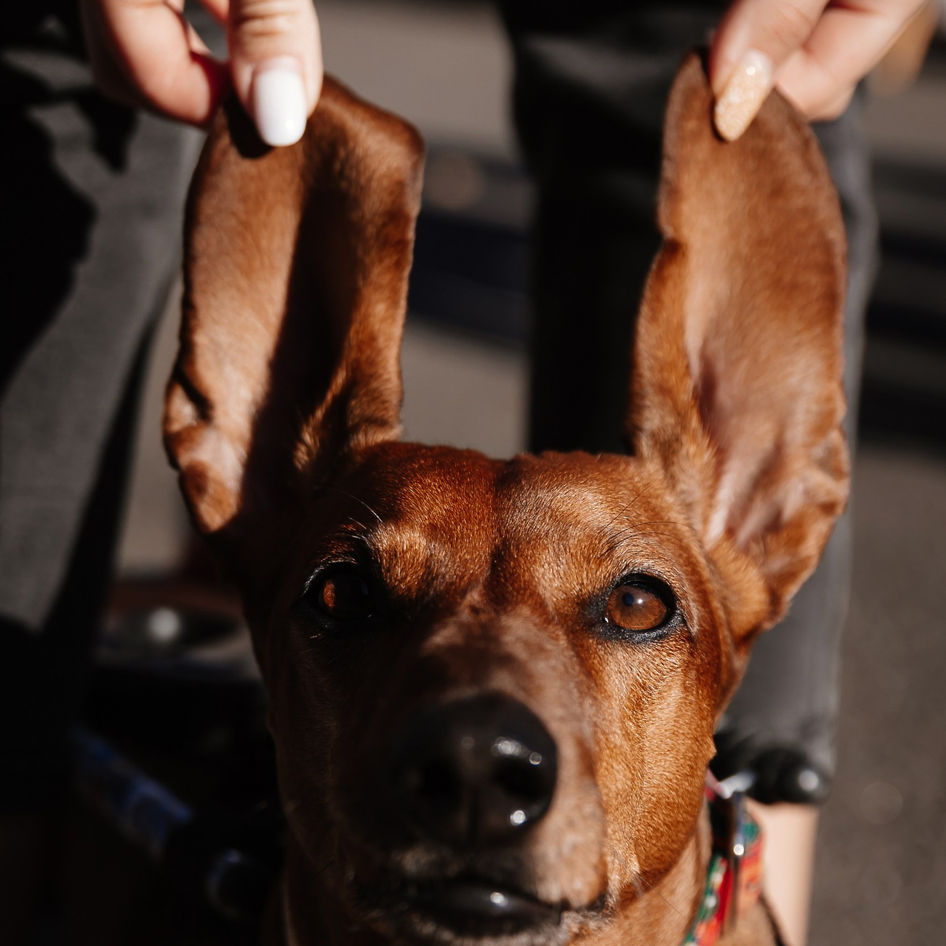 Boxpark 4.11.23. Photographer | Anna Christia