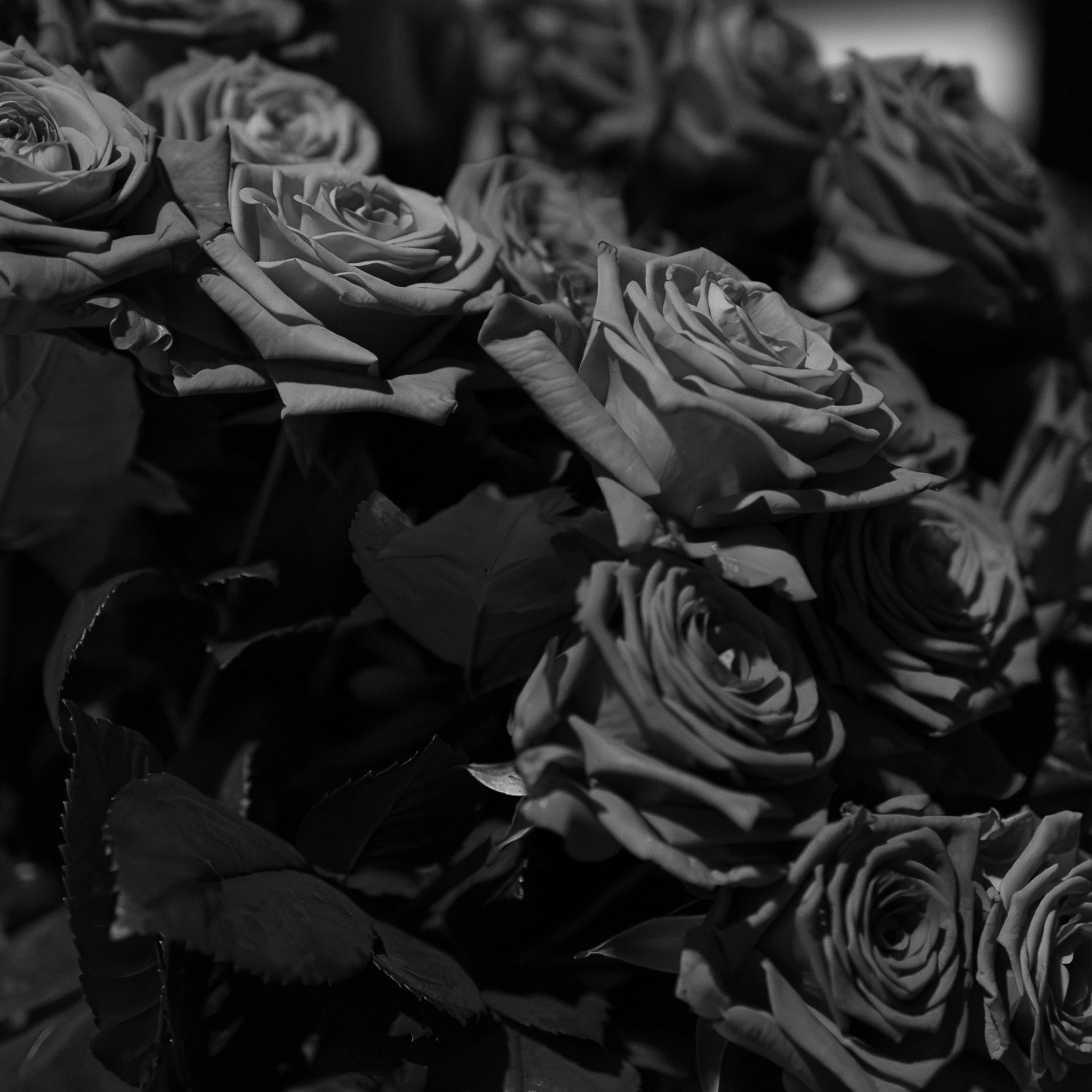 Hank rest 8.03.24. Photographer | Anna Christia