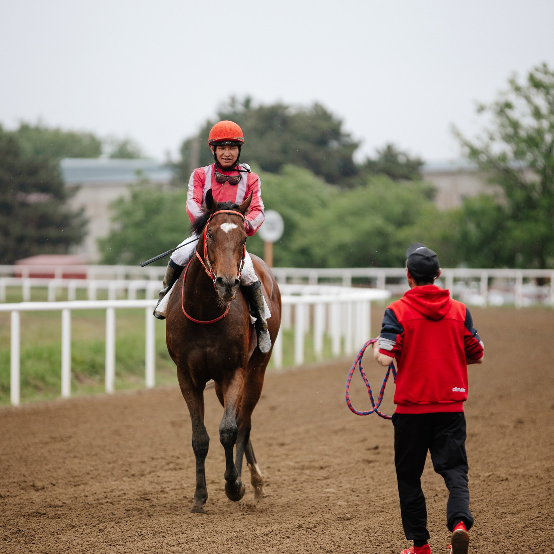 Скачки 11.05.24. Photographer | Anna Christia