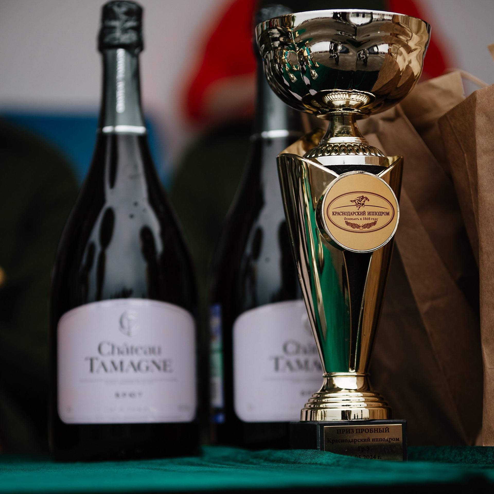 Скачки 11.05.24. Photographer | Anna Christia