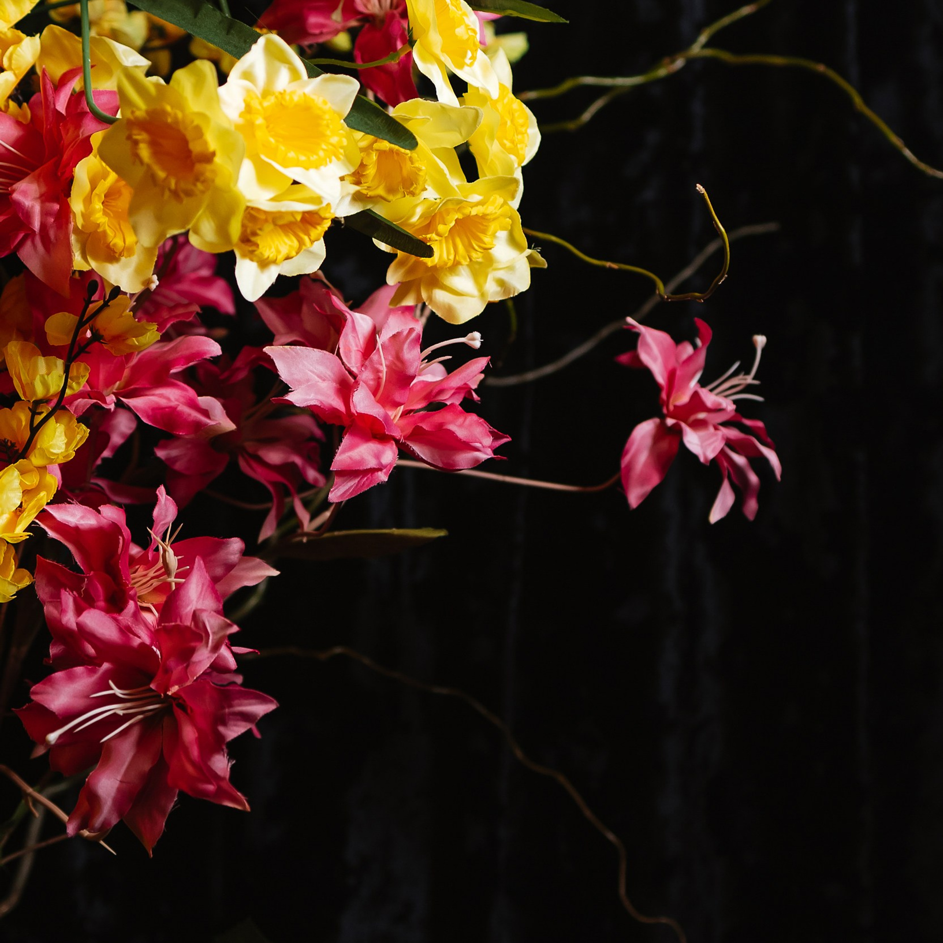 Brand performance 20.03.24. Photographer | Anna Christia