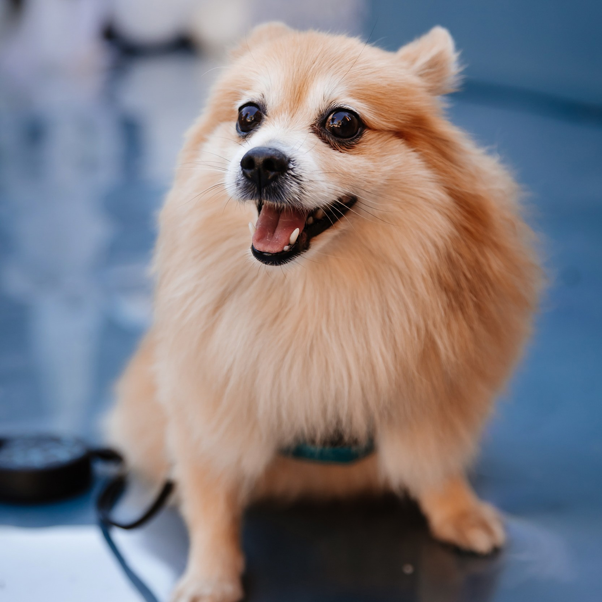 Boxpark 4.11.23. Photographer | Anna Christia