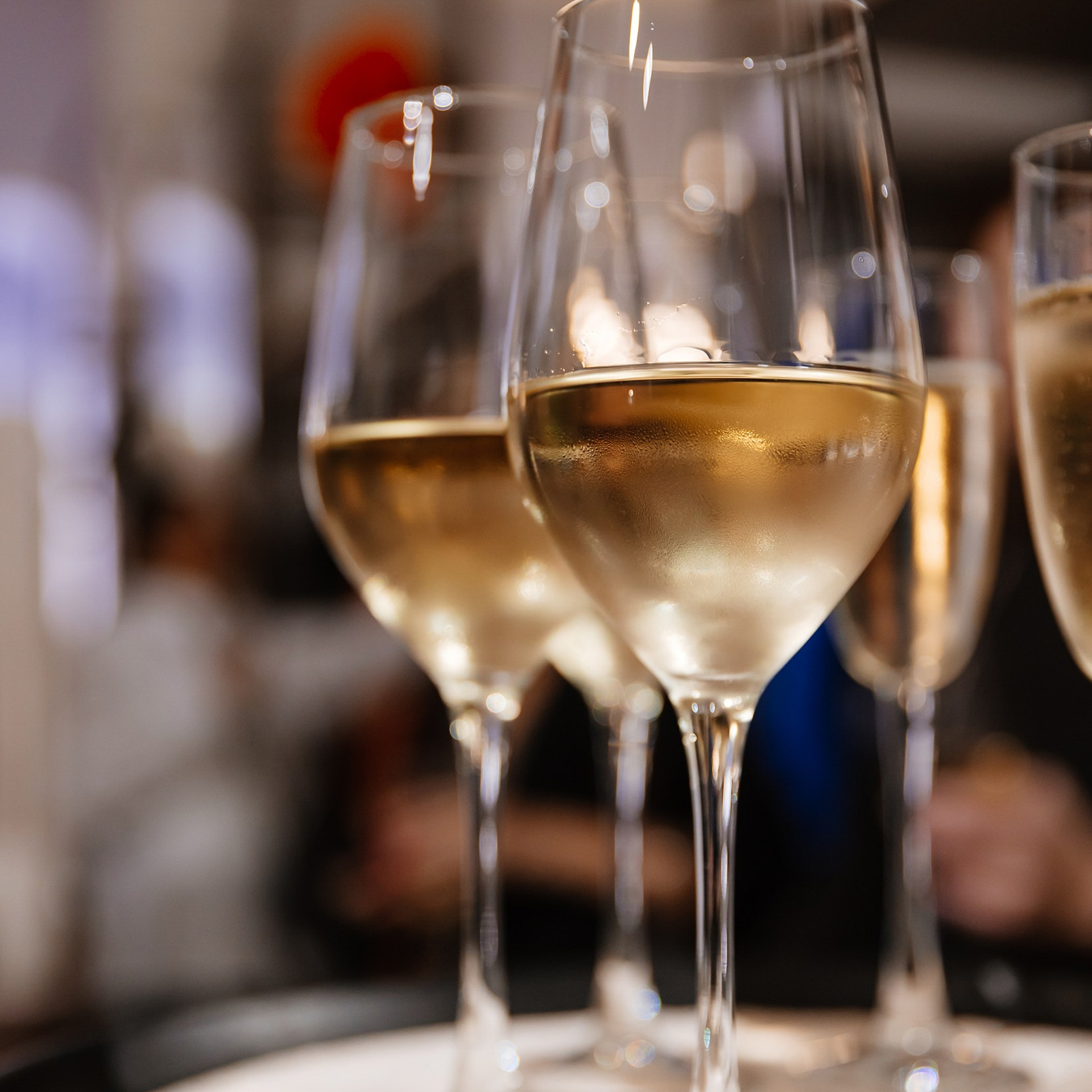 Сезоны 15.11.23. Photographer | Anna Christia