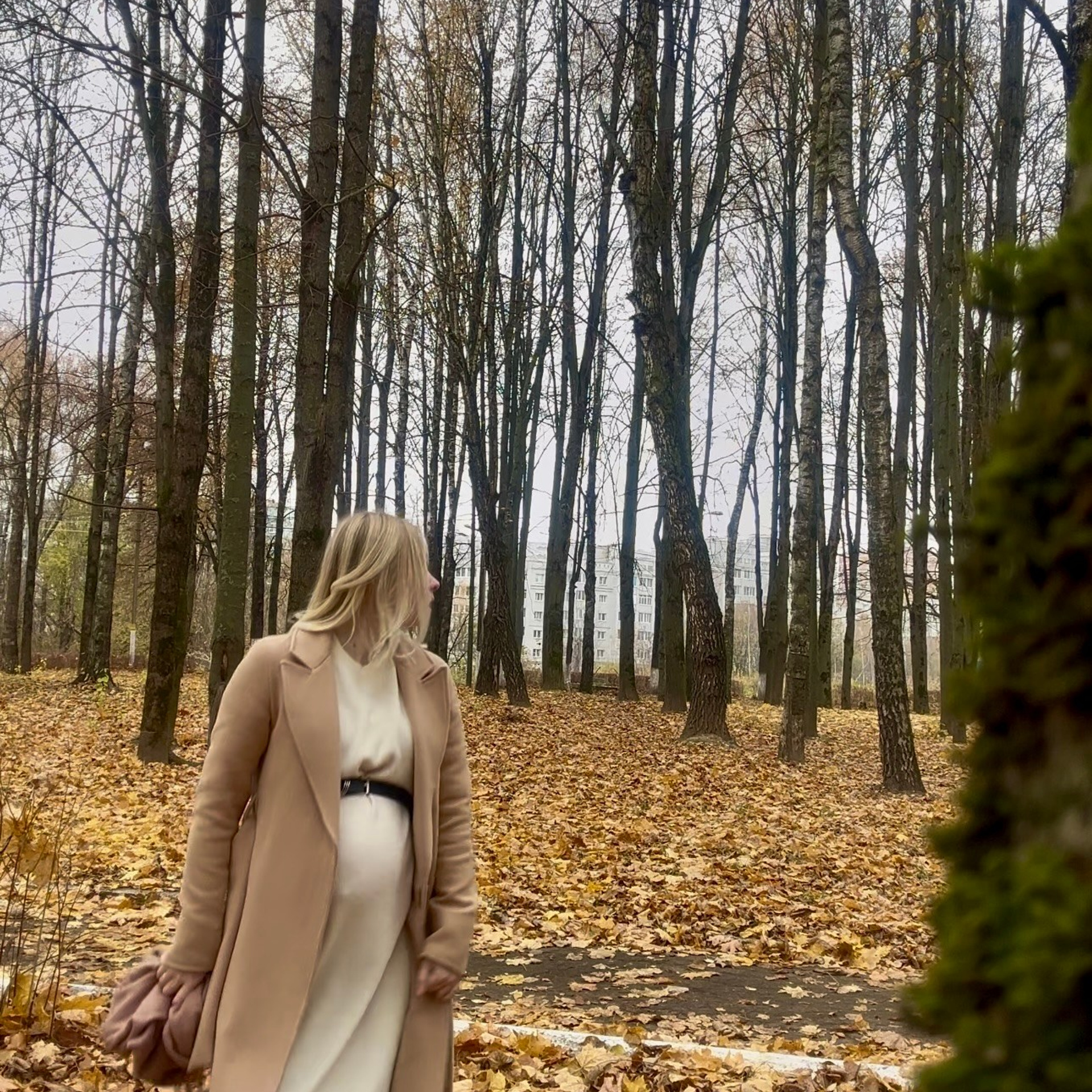 Отзывы. Фотограф новорожденных детей