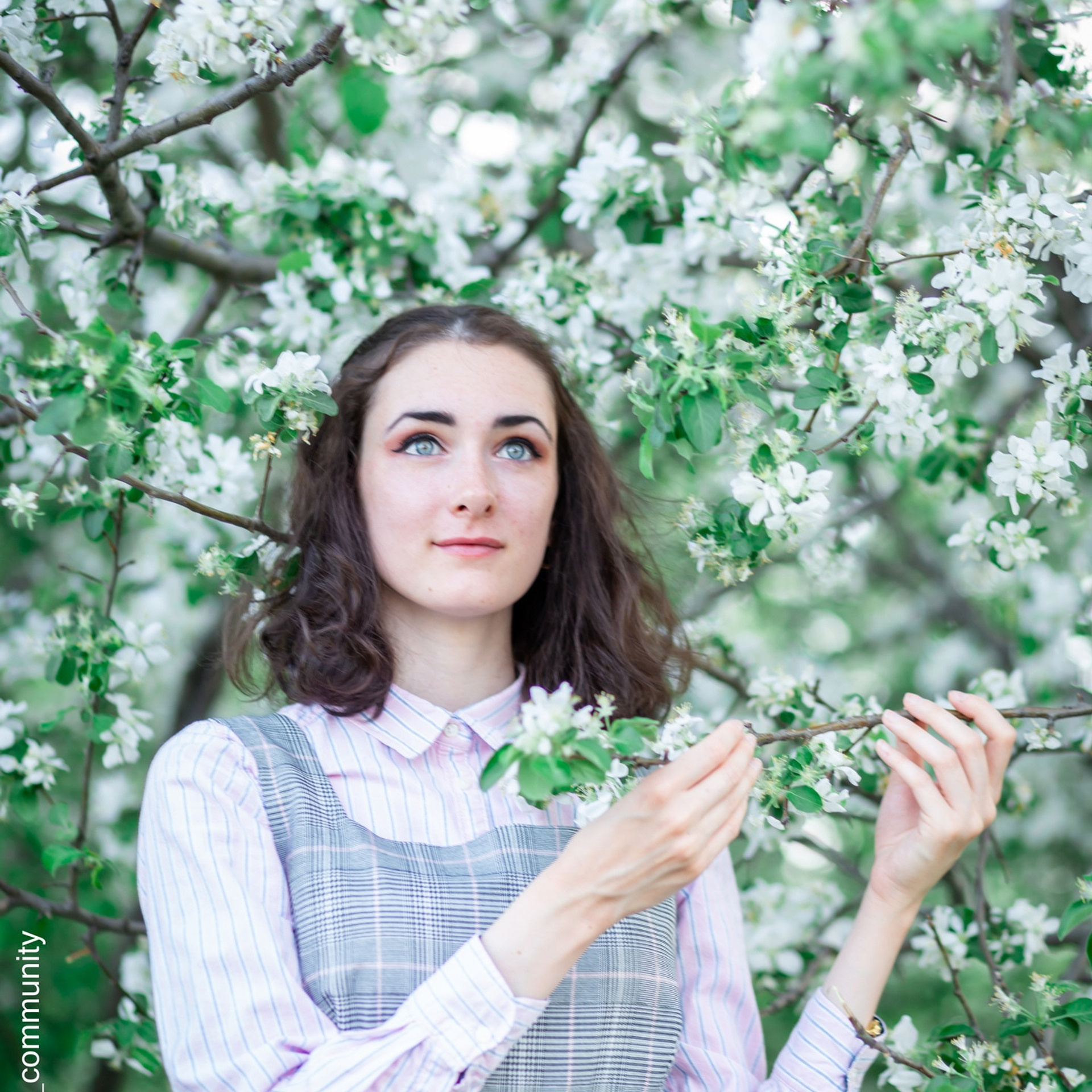 Отзывы. Frame Craft