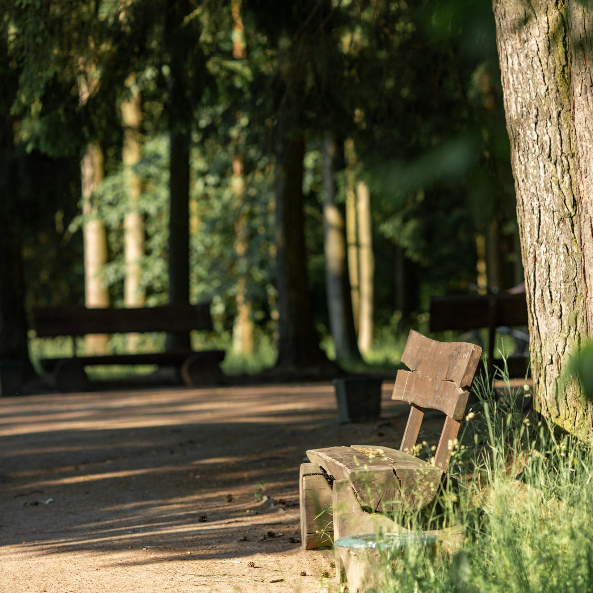 Отзывы. Семейный и детский фотограф Ольга Невская