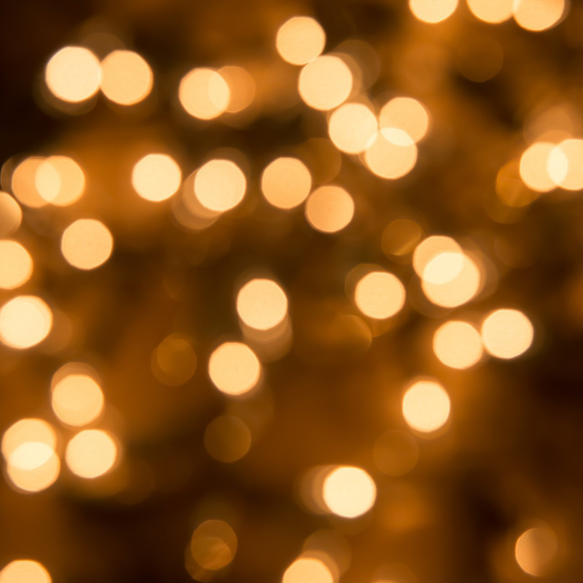 Отзывы по школьным фотокнигам. Школьные фотоальбомы во Владимире и области Курицына Ирина