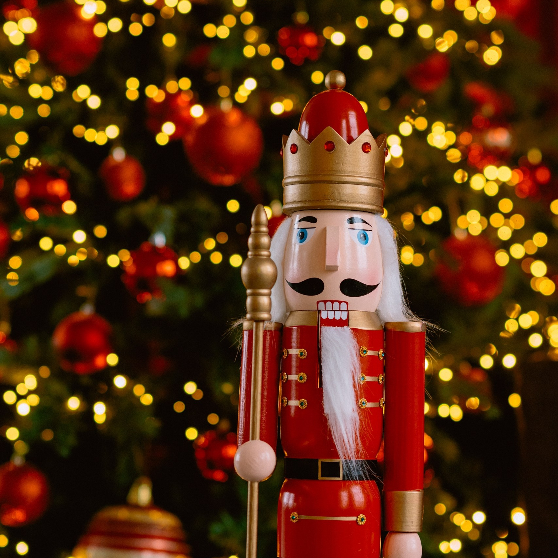 Новогодние локации 2026. Свадебный и семейный фотограф в Туле и области Маша Костина