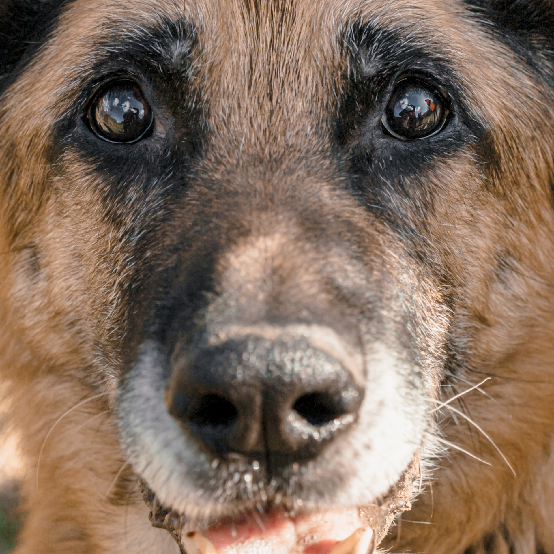 Отзывы. Фотограф в Санкт-Петербурге Яна Пикулик