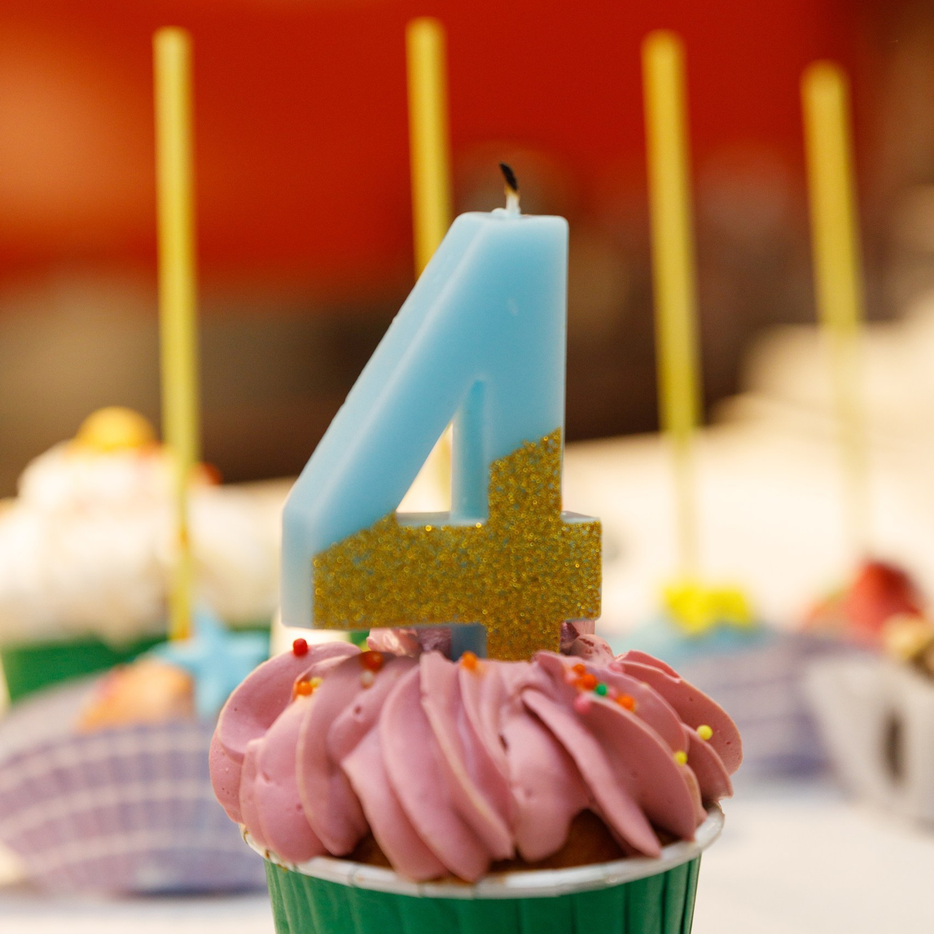 Ваш фотограф Юлия Бельфер. Семейный и детский фотограф в Алматы Юлия Бельфер